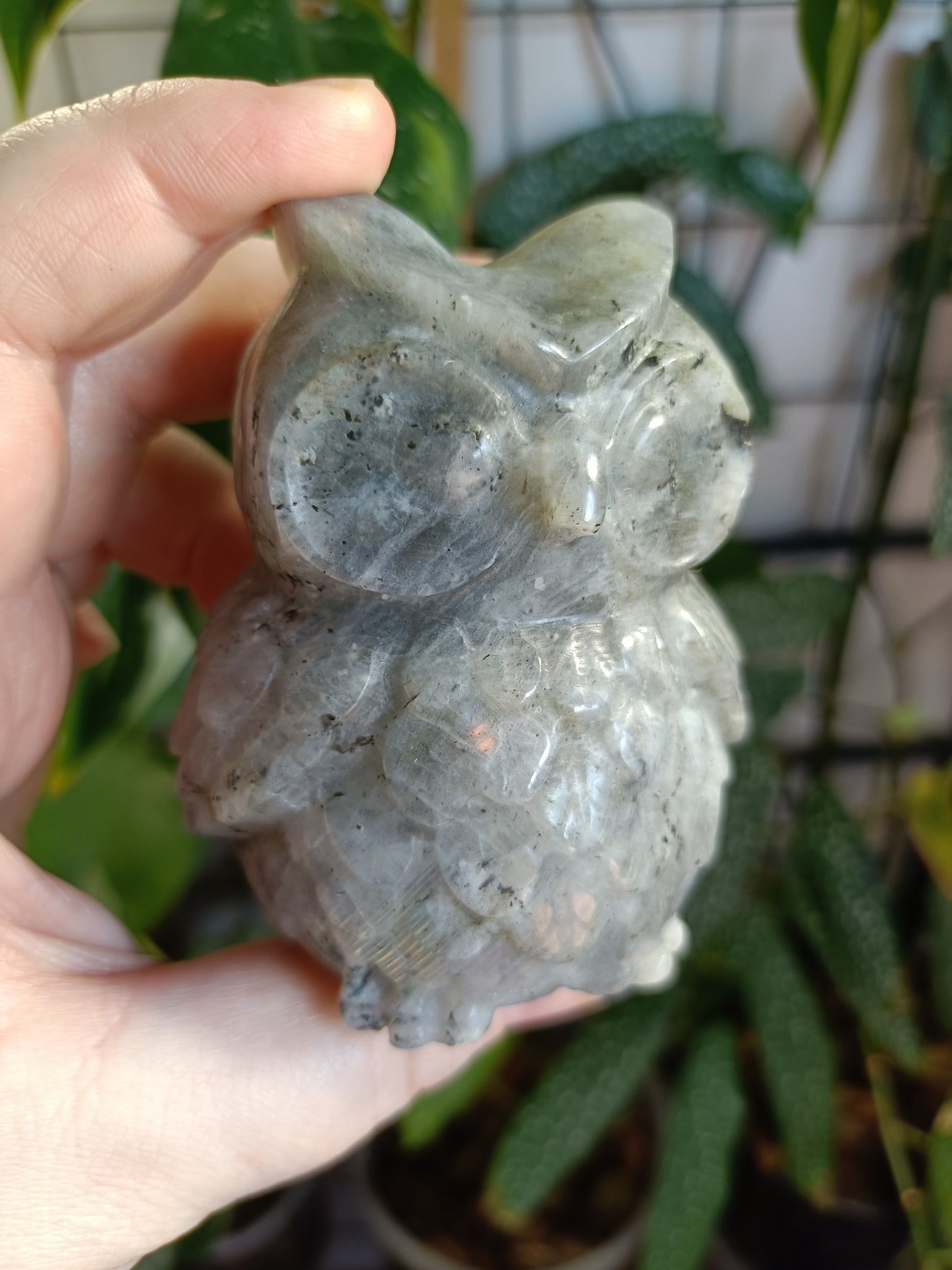 Labradorite Owl Carving - 377g