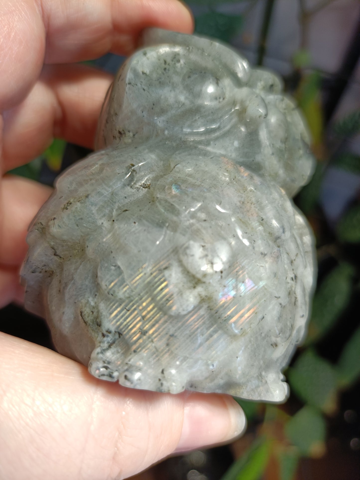 Labradorite Owl Carving - 377g