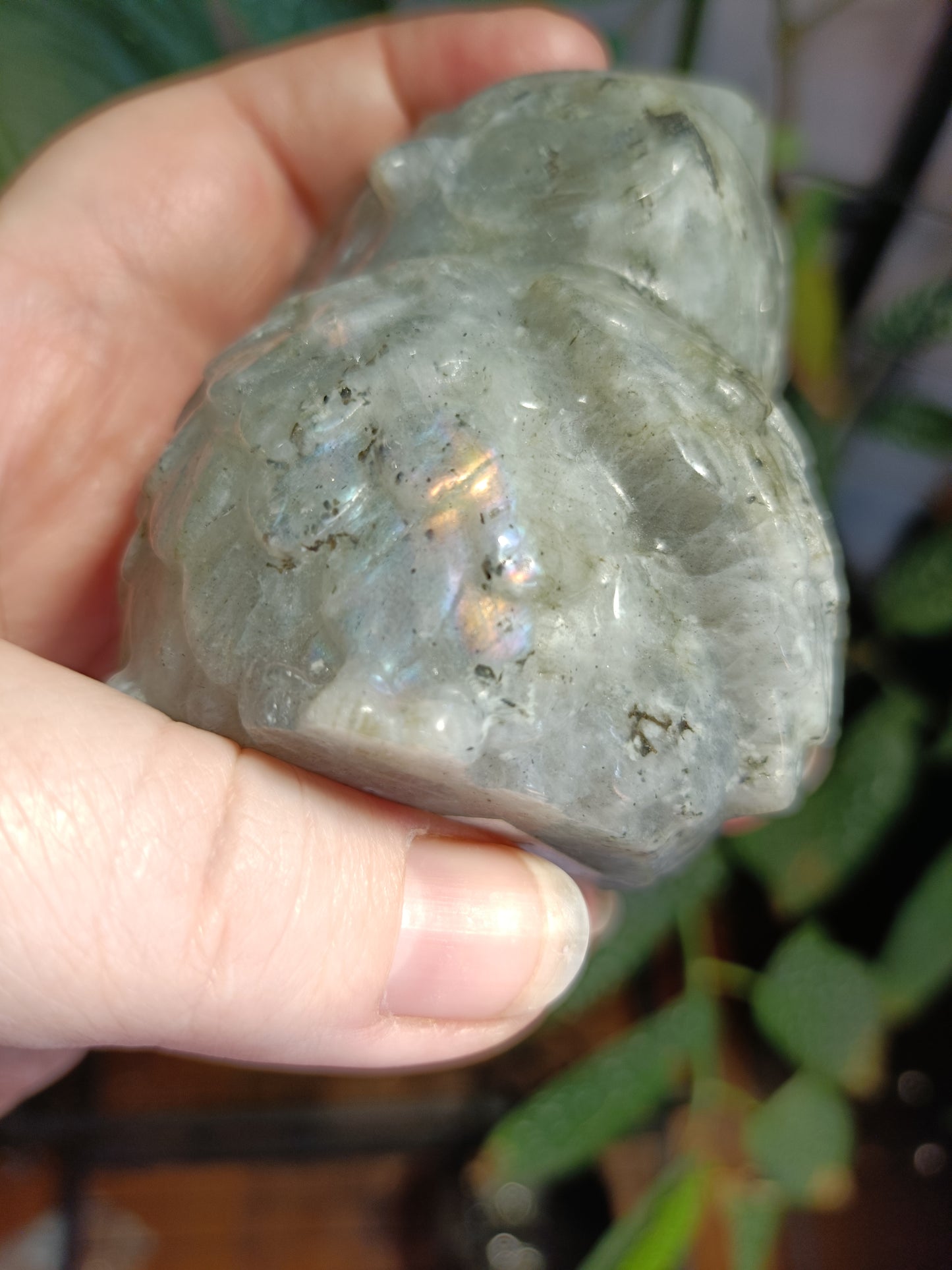 Labradorite Owl Carving - 377g