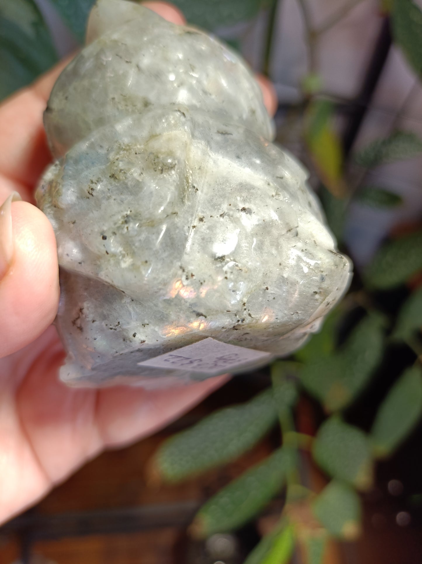 Labradorite Owl Carving - 377g