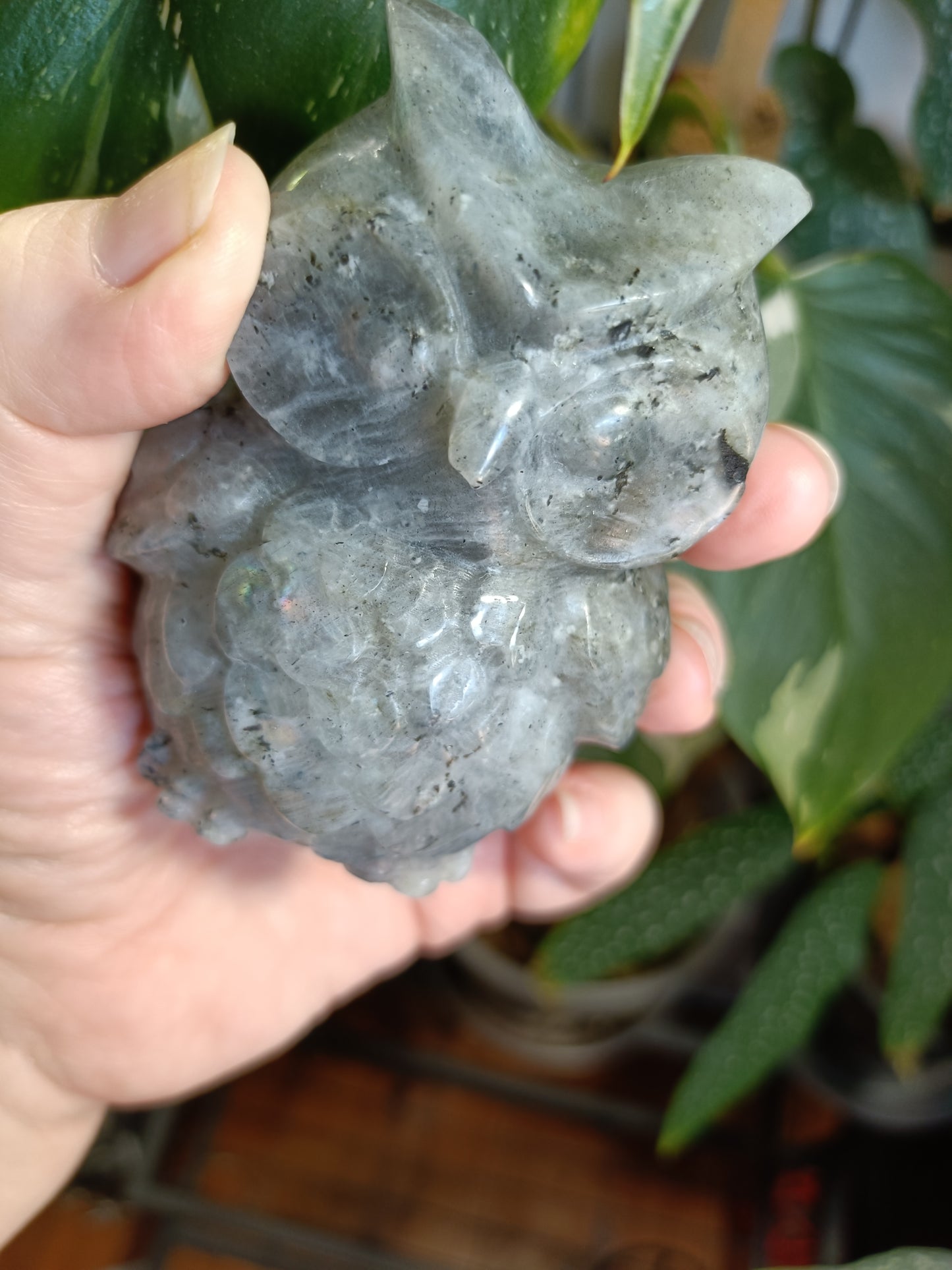 Labradorite Owl Carving - 377g