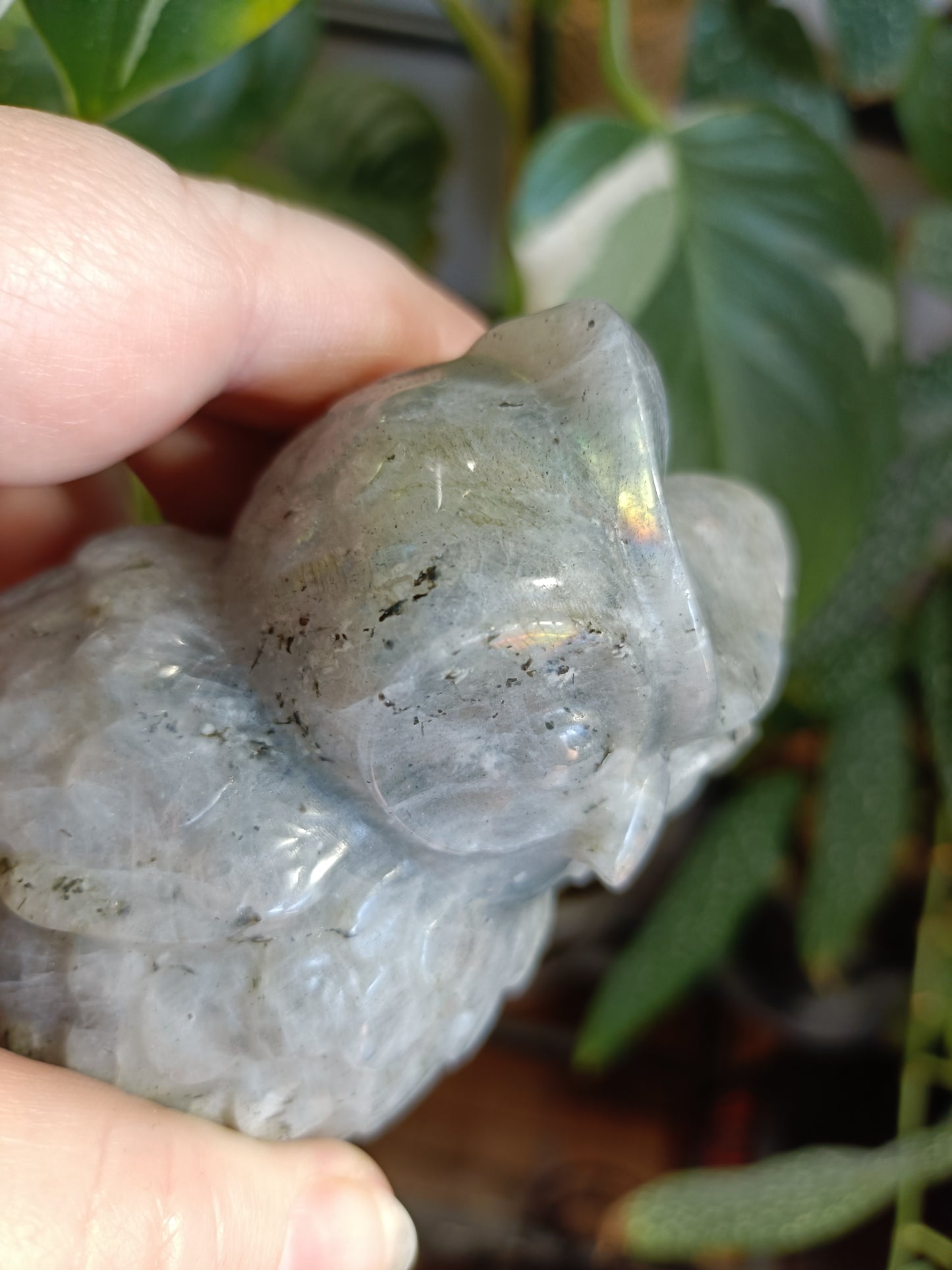 Labradorite Owl Carving - 377g