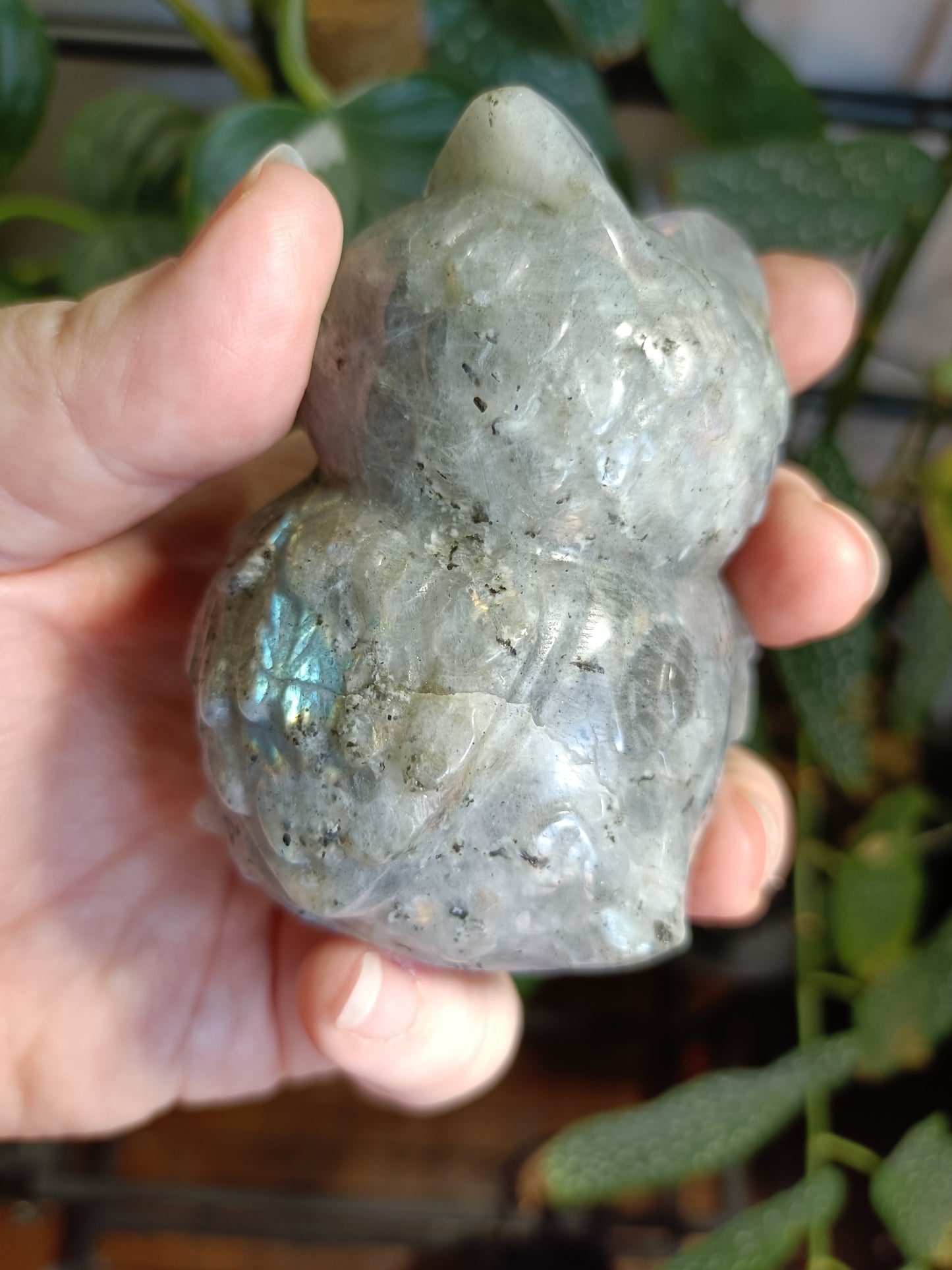 Labradorite Owl Carving - 377g
