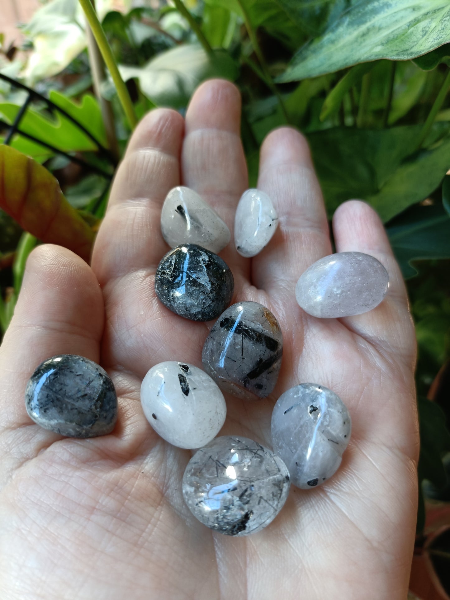 Black Tourmaline in Quartz SMALL Tumbles - 50g