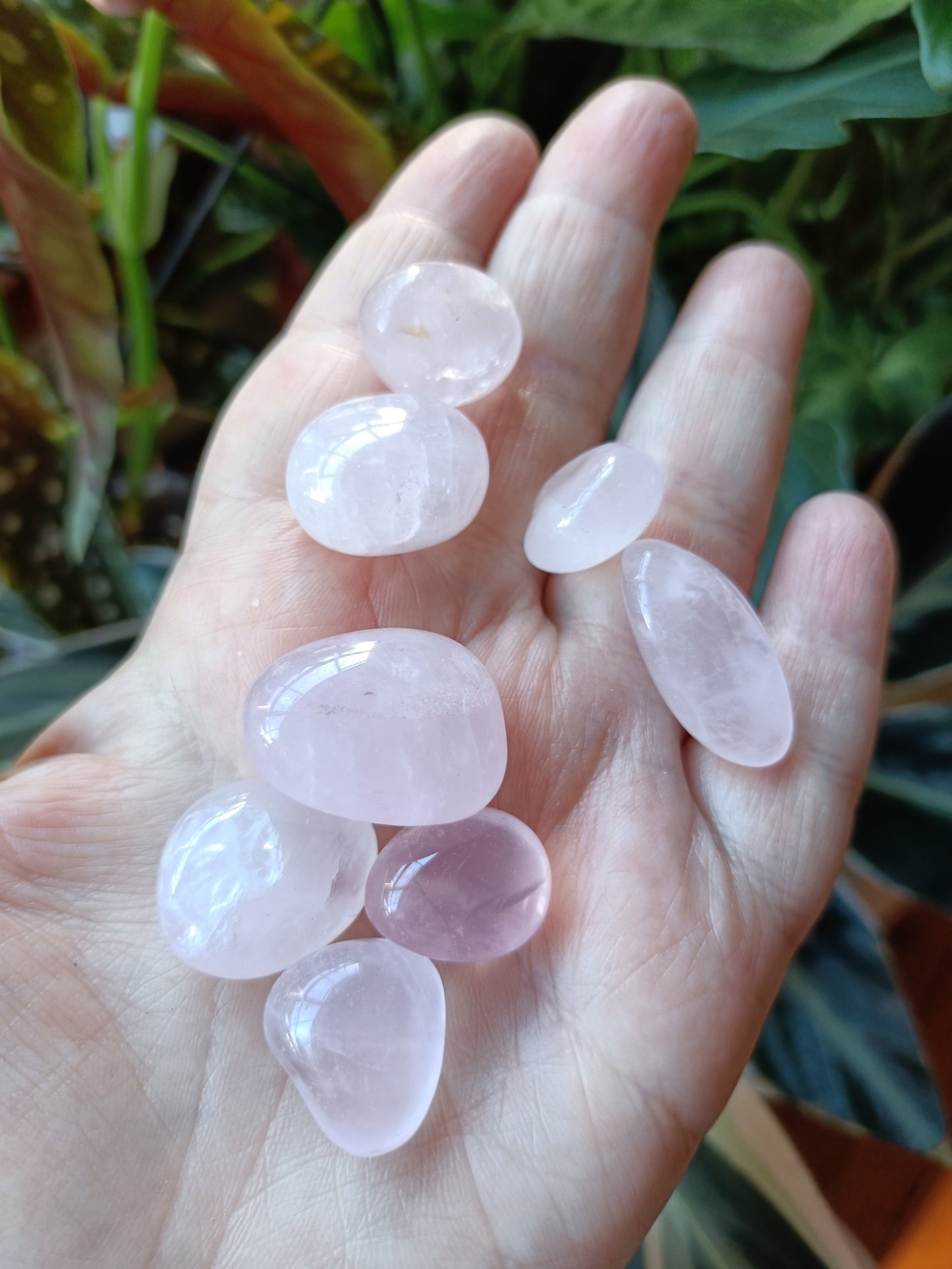 Rose Quartz SMALL Tumbles - 50g