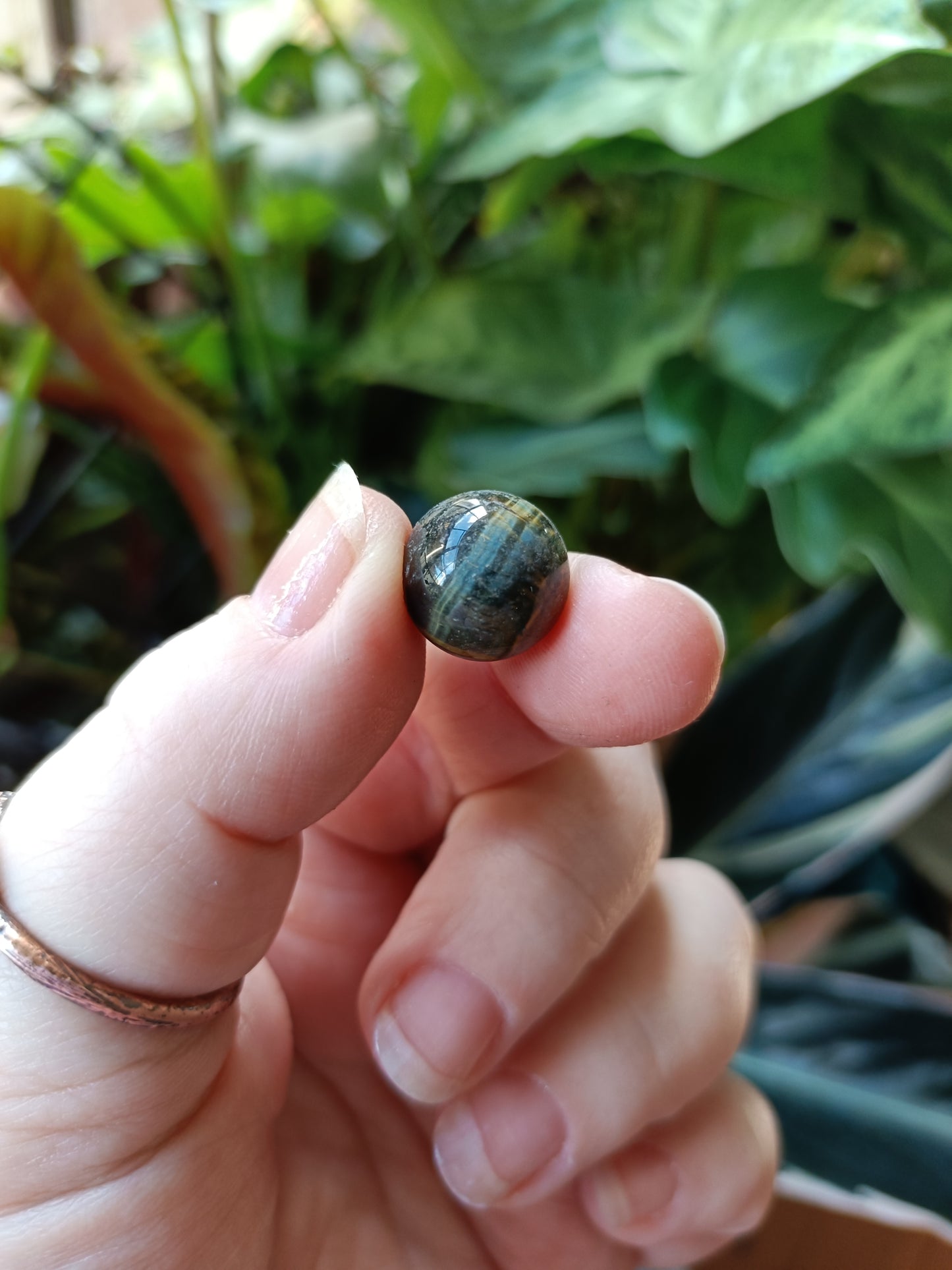 Blue and Gold Tigers Eye Mini Spheres - 10-14mm