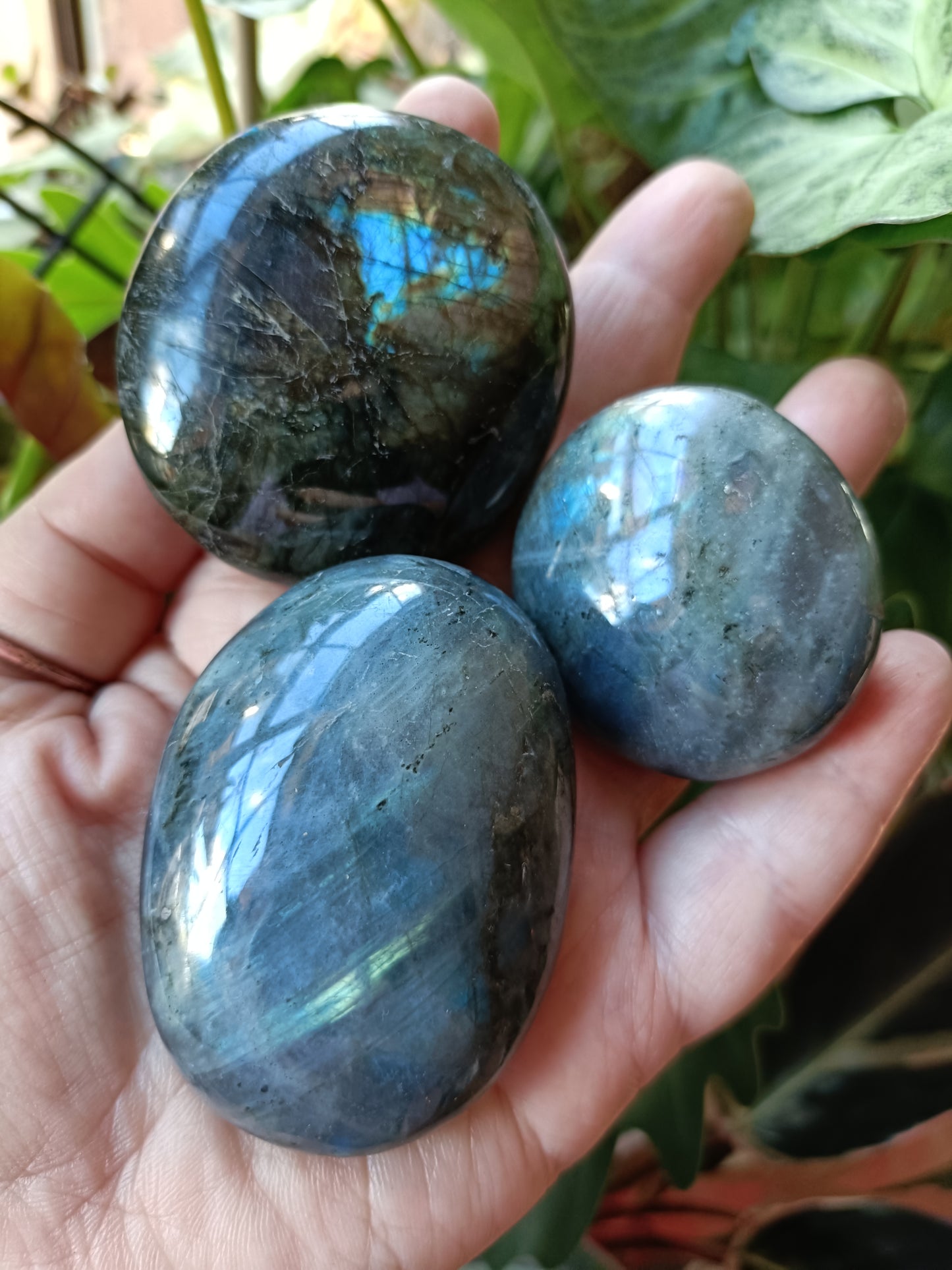 Labradorite Palm Stone - 90-130g