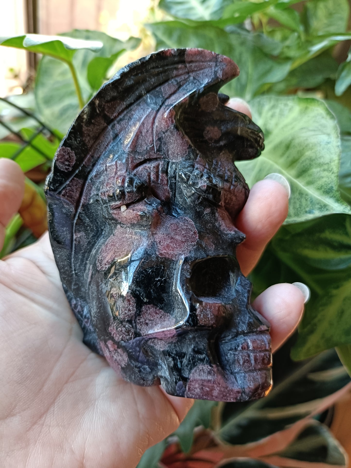 Garnet and Arfvedsonite Dragon on Skull Carving - 451g