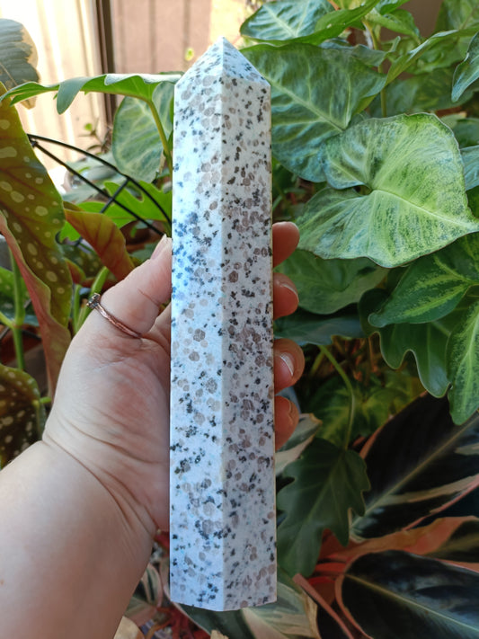 Kiwi Jasper Tower - 850g