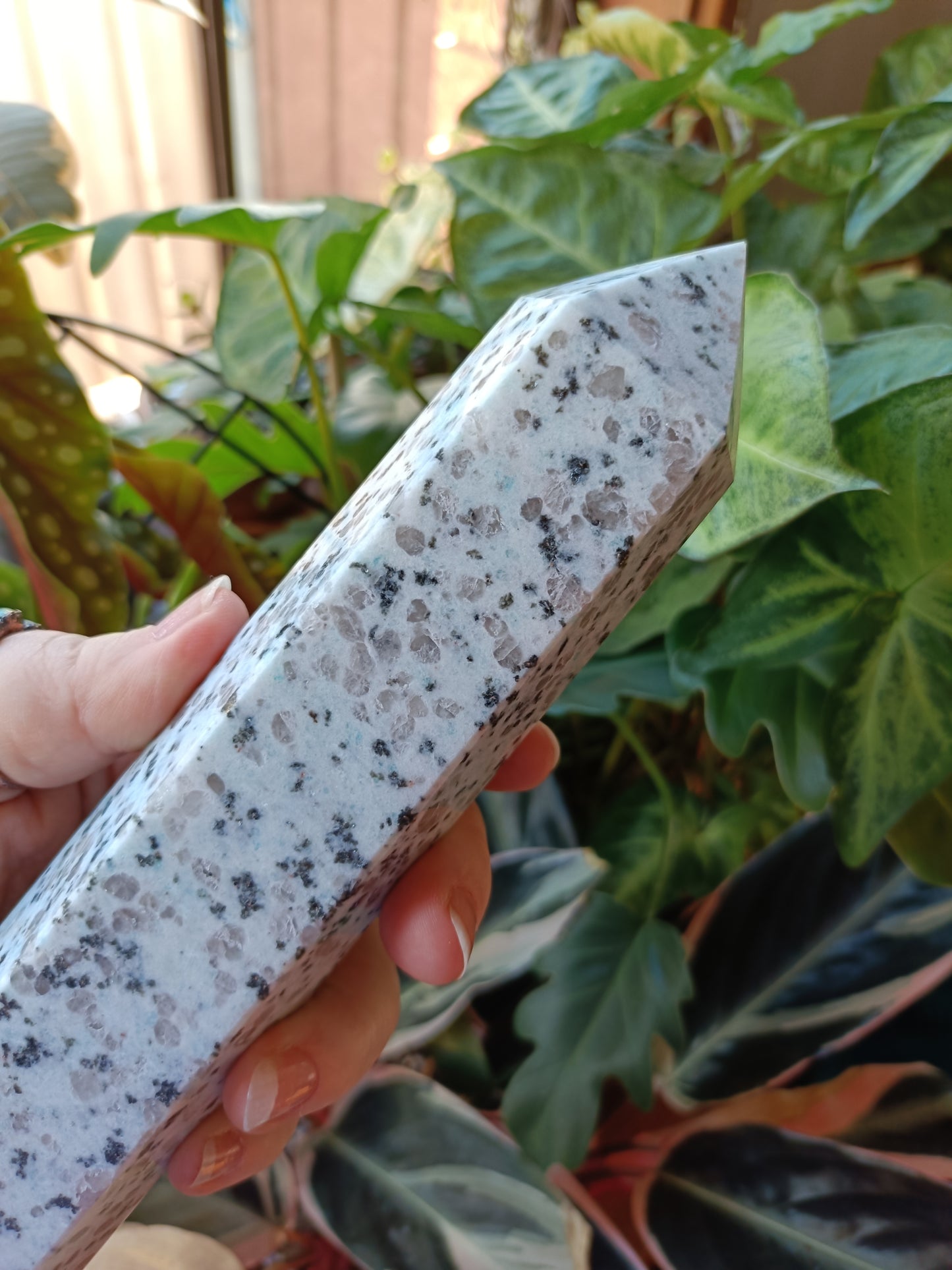 Kiwi Jasper Tower - 850g