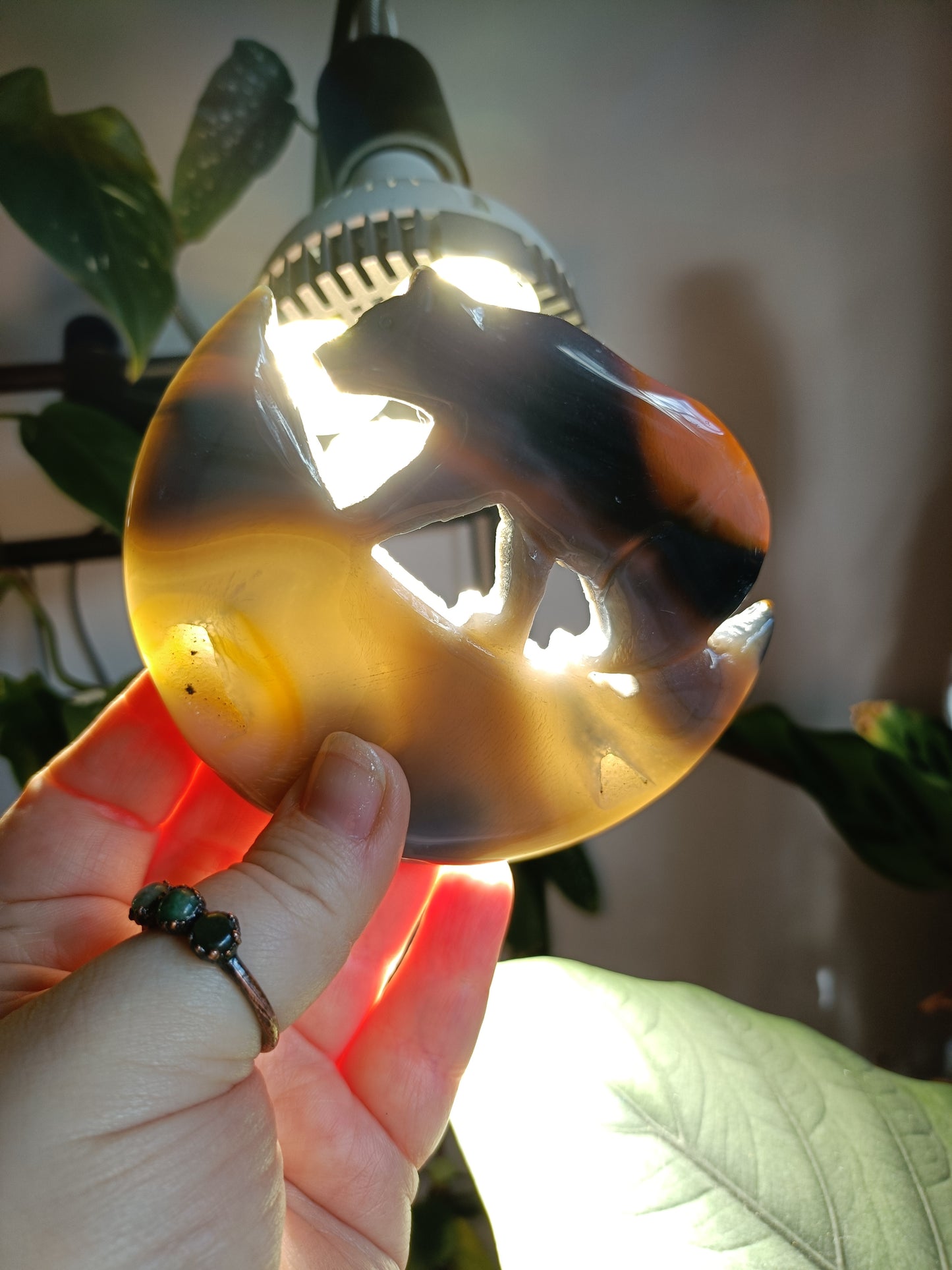 Agate Bear & Moon Carving with Custom Stand - 192g