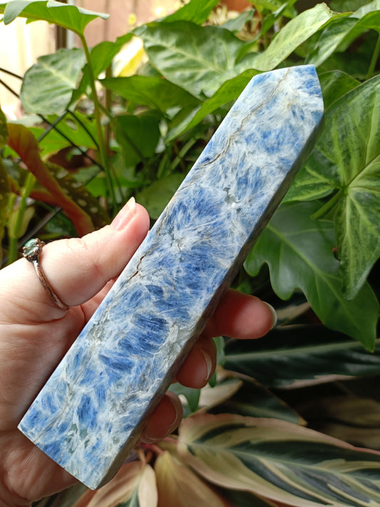 Blue Kyanite Tower - 523g (B Grade)