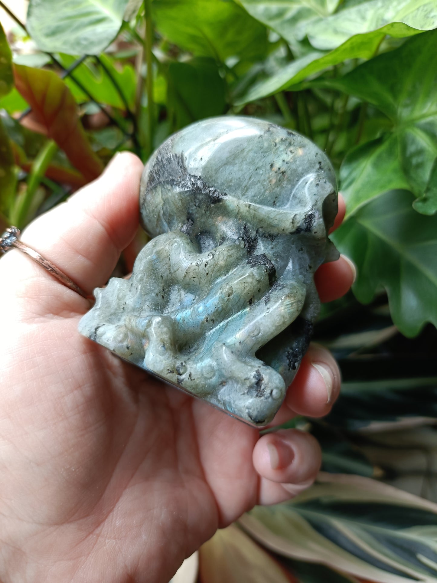 Labradorite Octopus Skull Carving - 307g