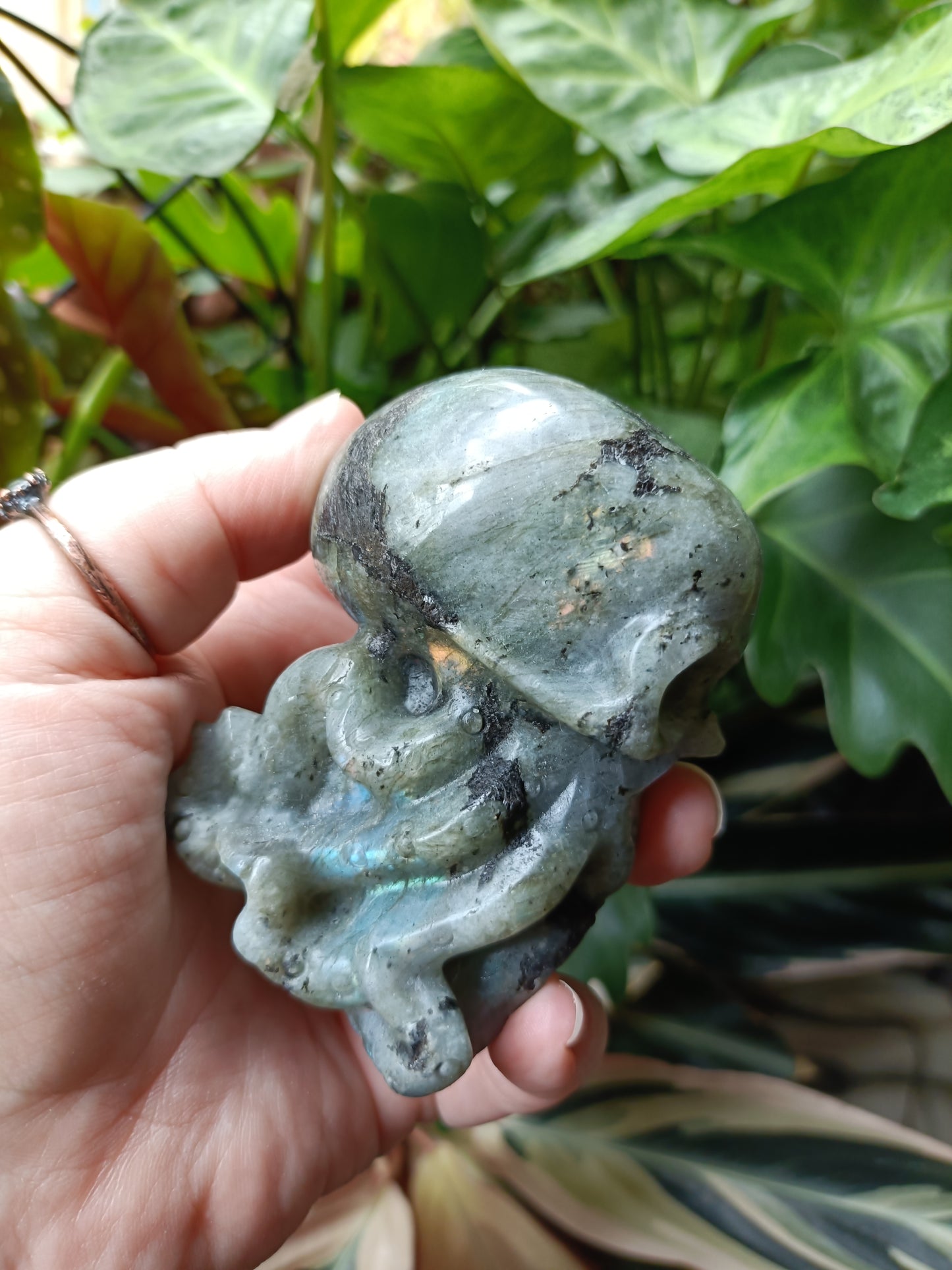 Labradorite Octopus Skull Carving - 307g