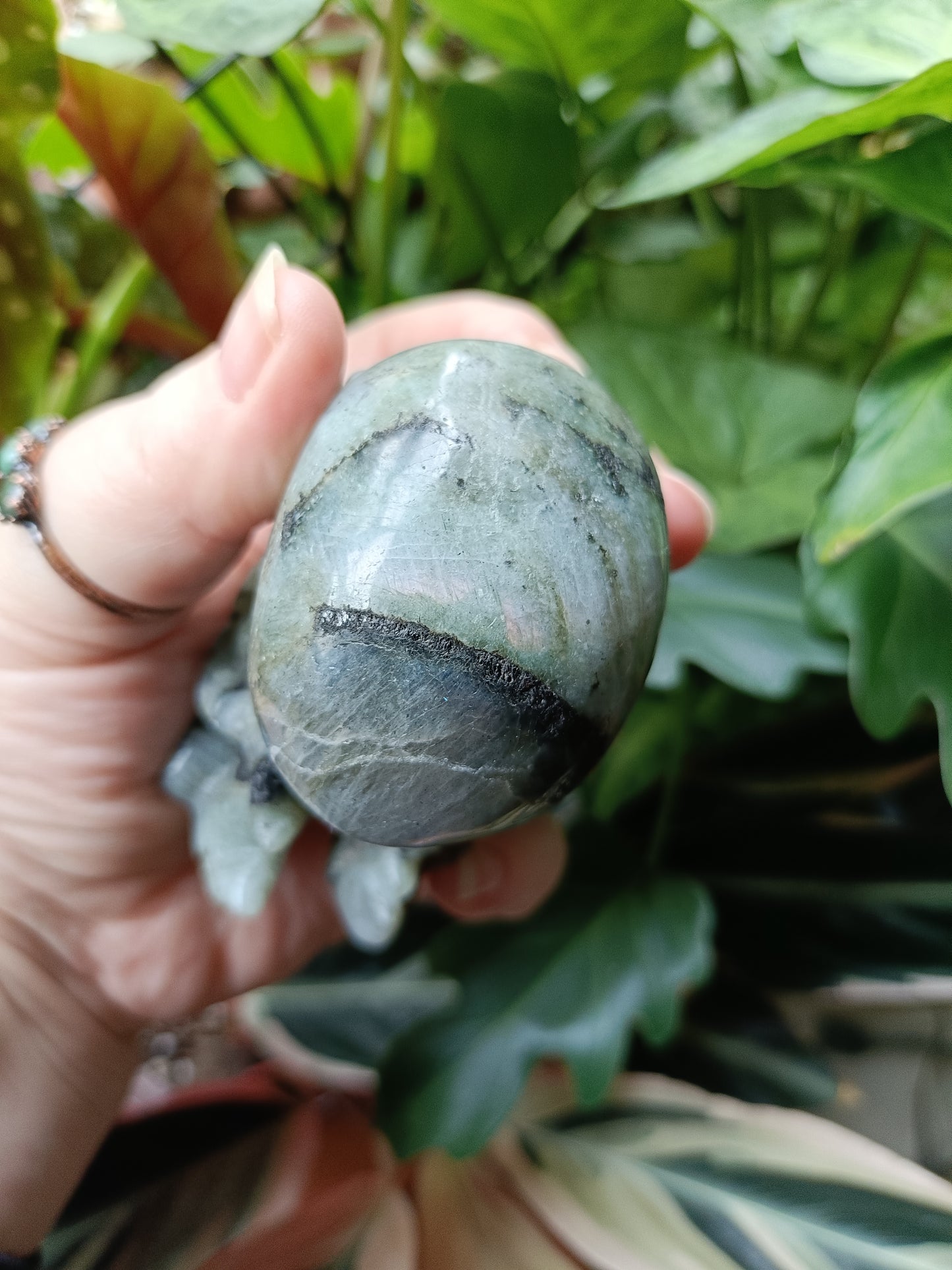 Labradorite Octopus Skull Carving - 307g