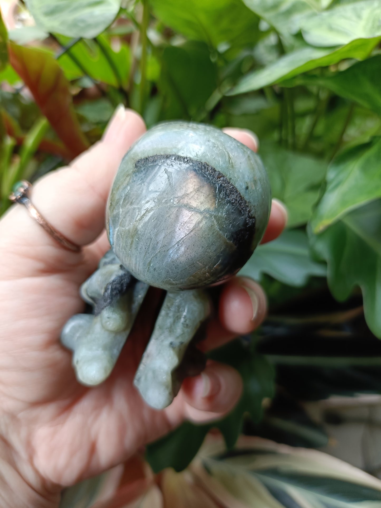 Labradorite Octopus Skull Carving - 307g