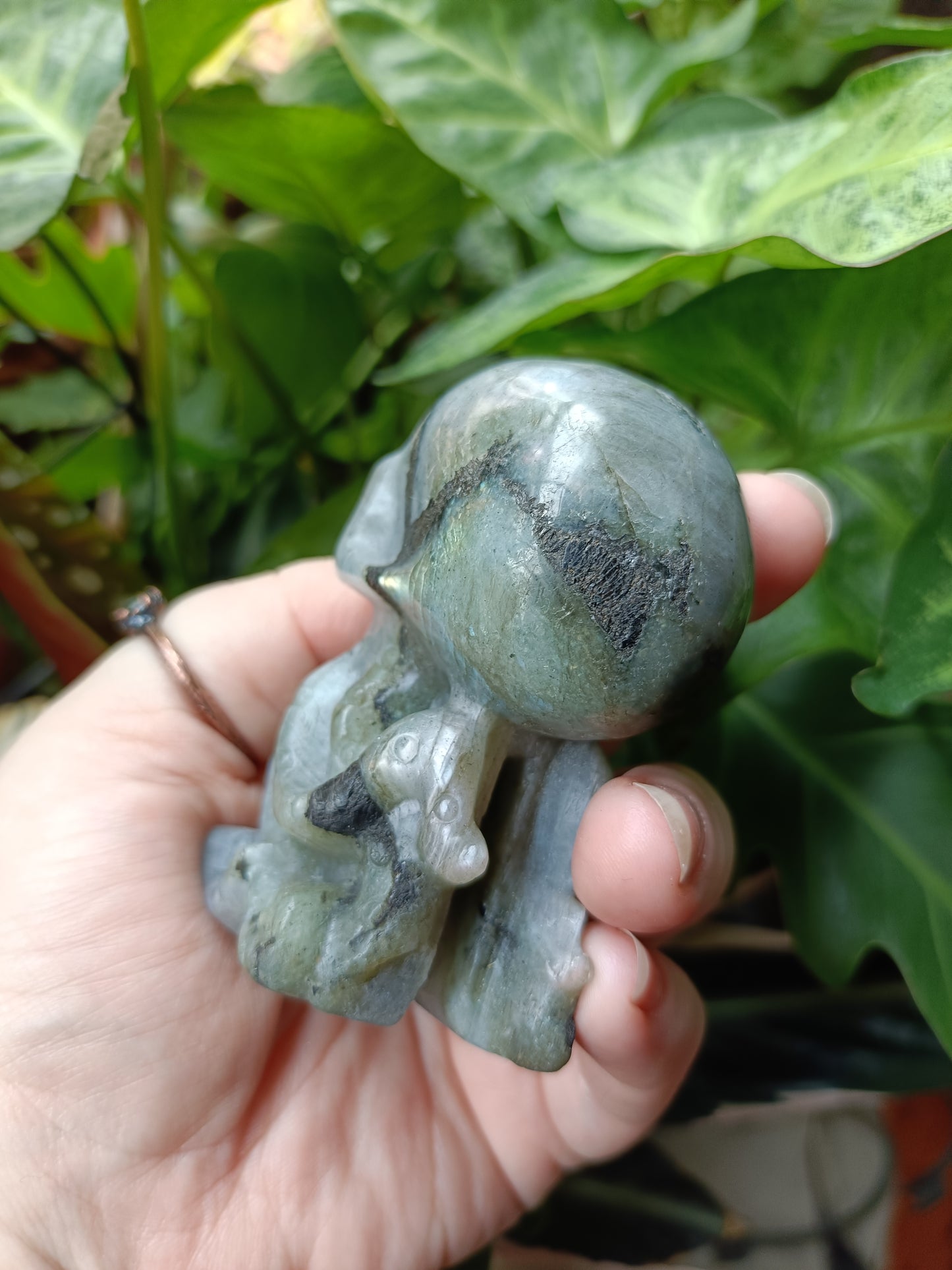 Labradorite Octopus Skull Carving - 247g