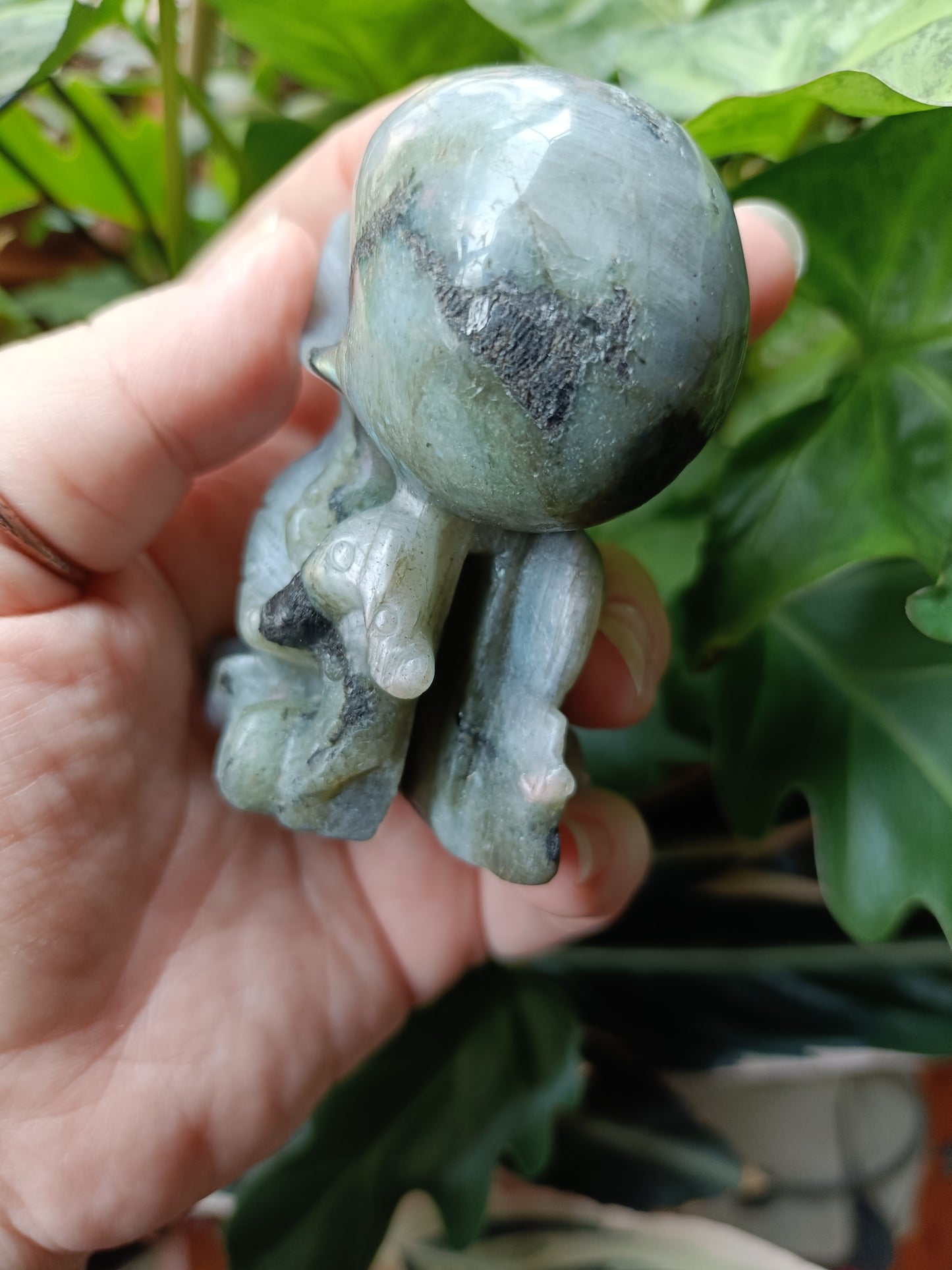 Labradorite Octopus Skull Carving - 247g