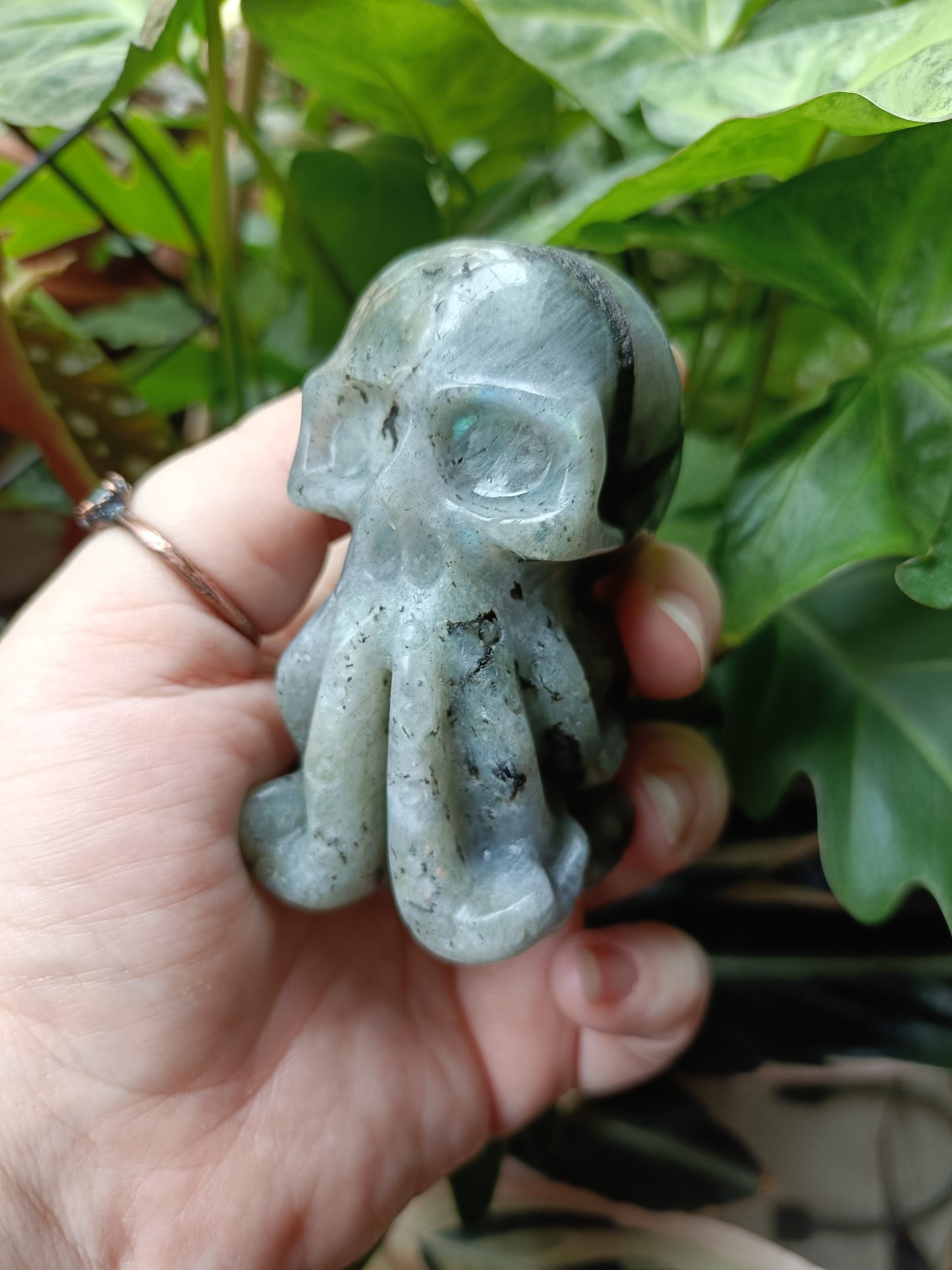 Labradorite Octopus Skull Carving - 247g