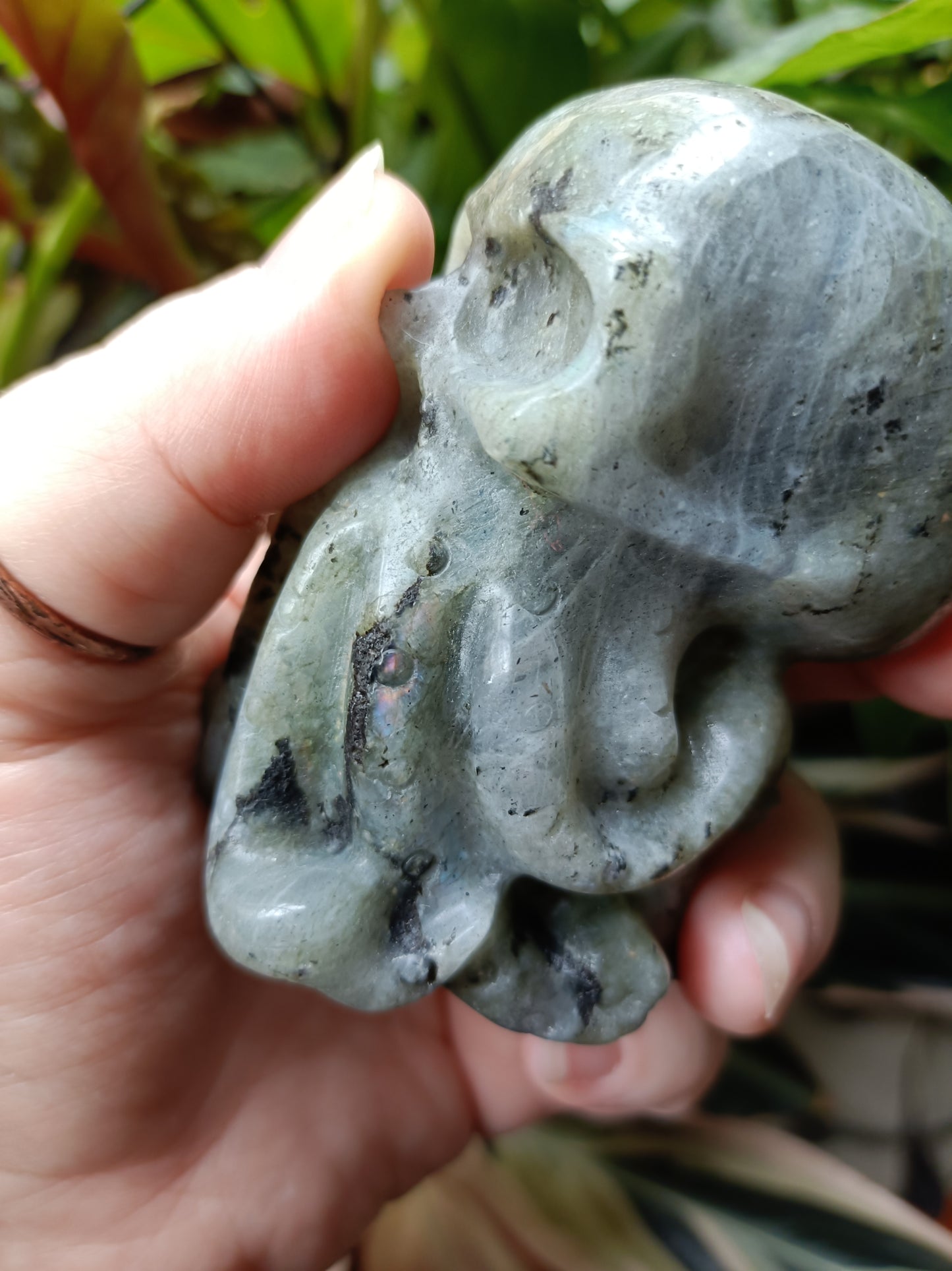 Labradorite Octopus Skull Carving - 309g