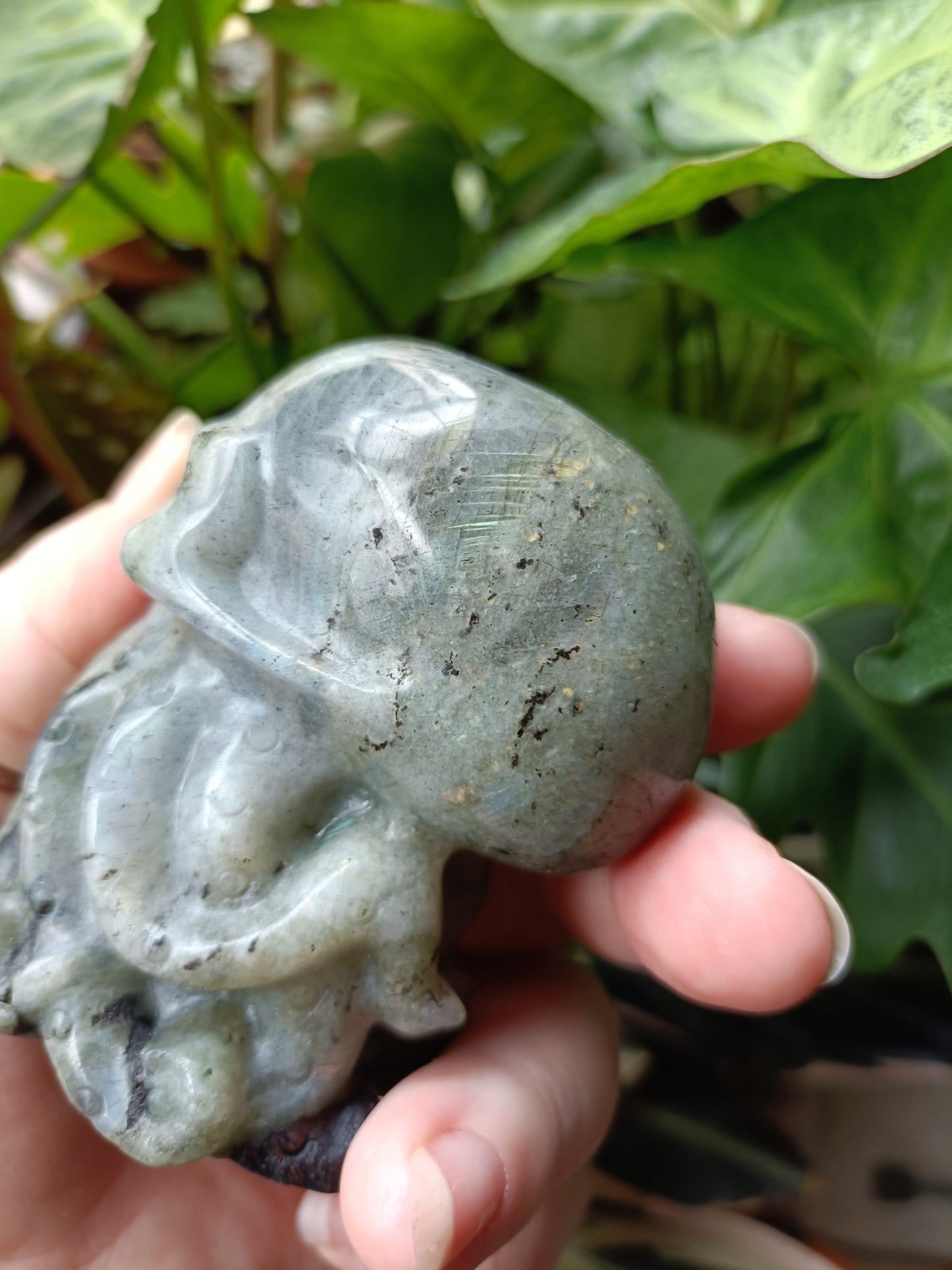 Labradorite Octopus Skull Carving - 309g