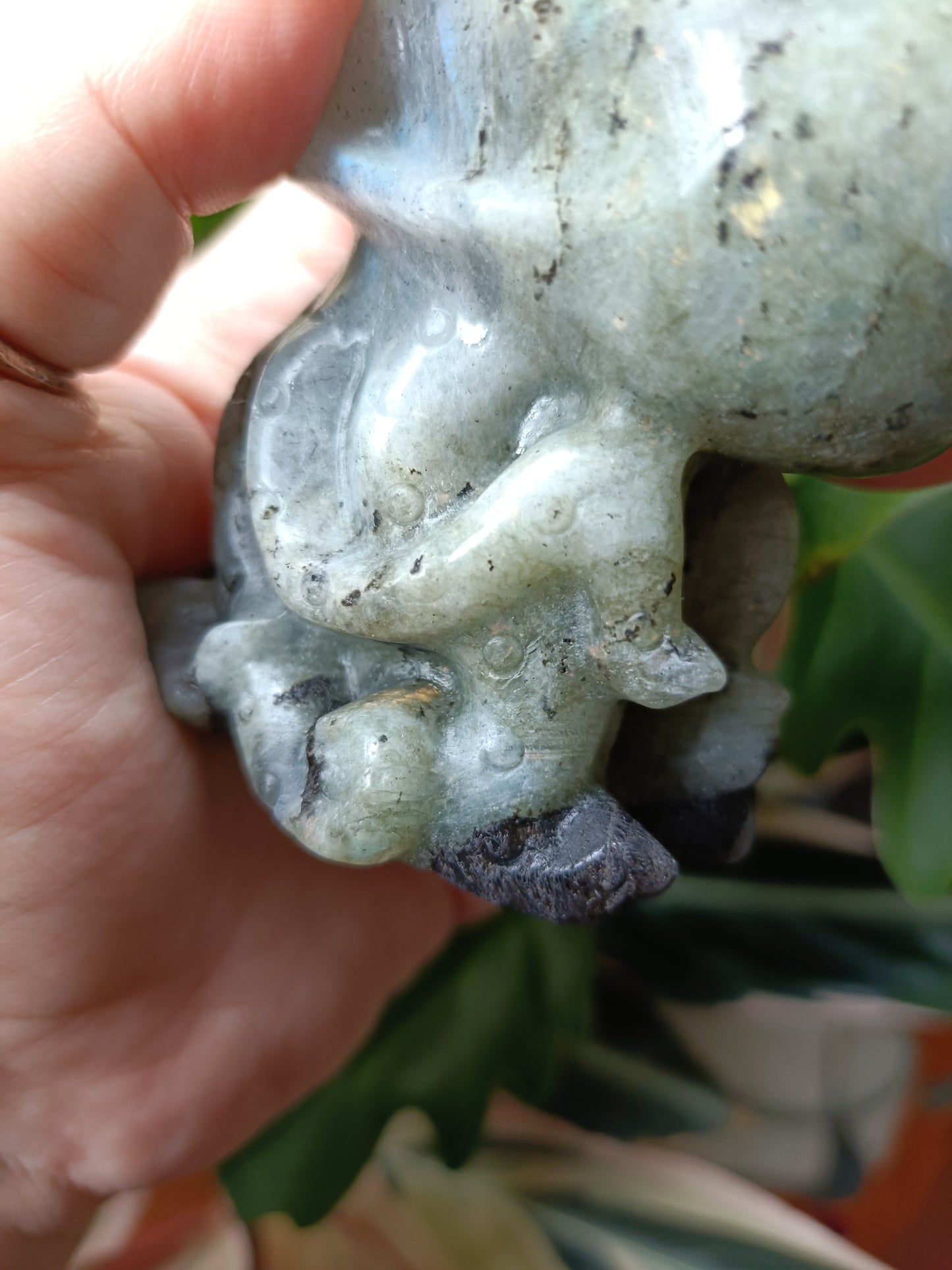 Labradorite Octopus Skull Carving - 309g