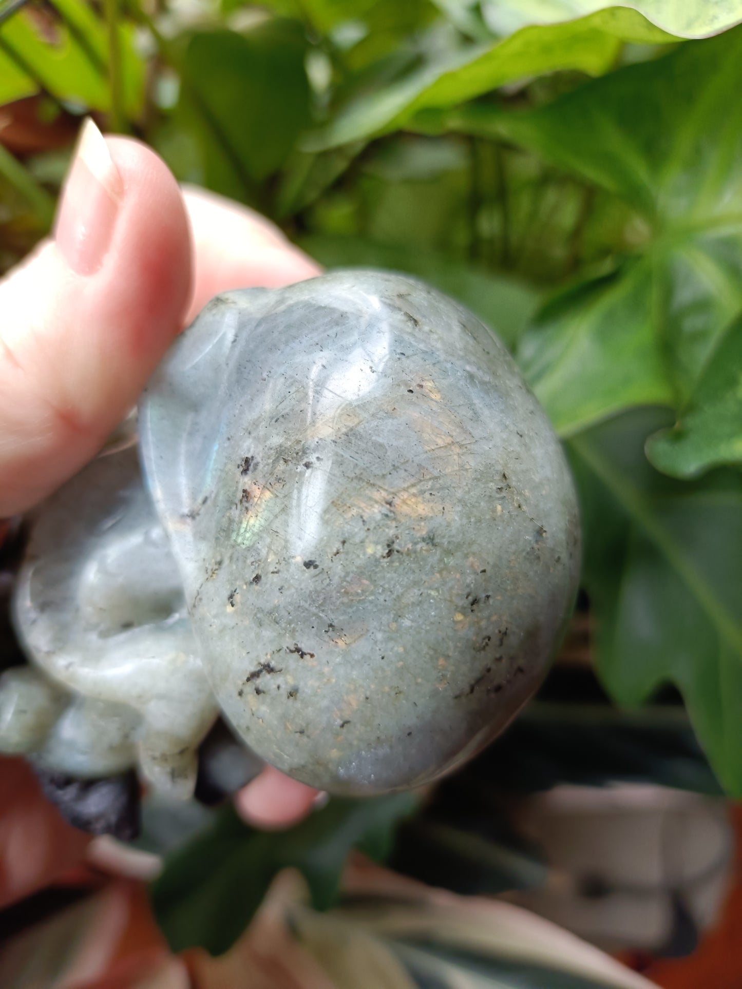 Labradorite Octopus Skull Carving - 309g