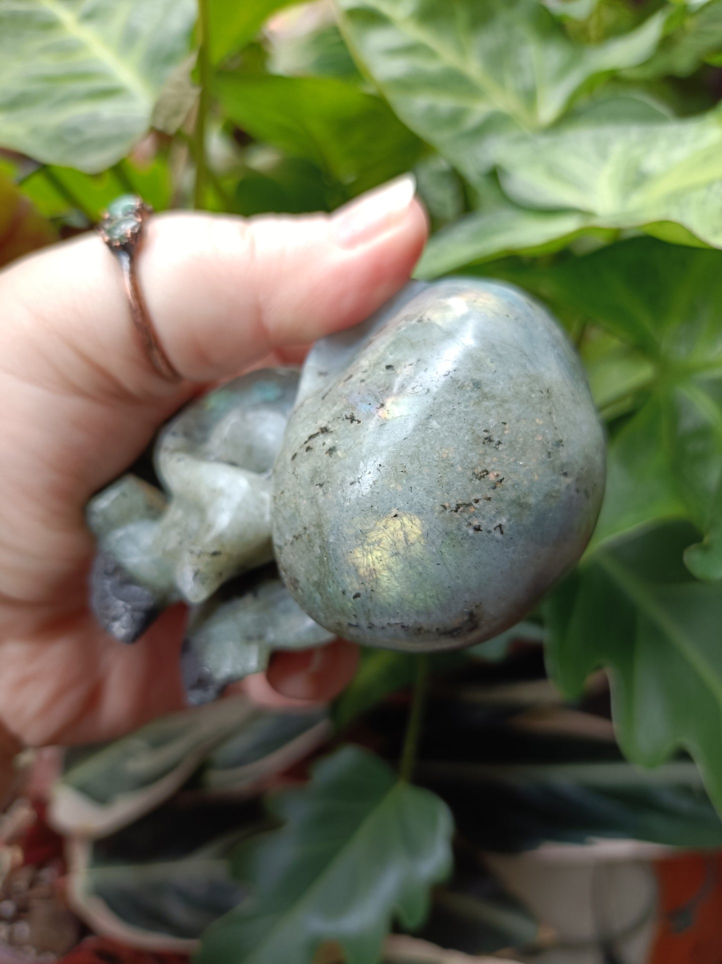 Labradorite Octopus Skull Carving - 309g