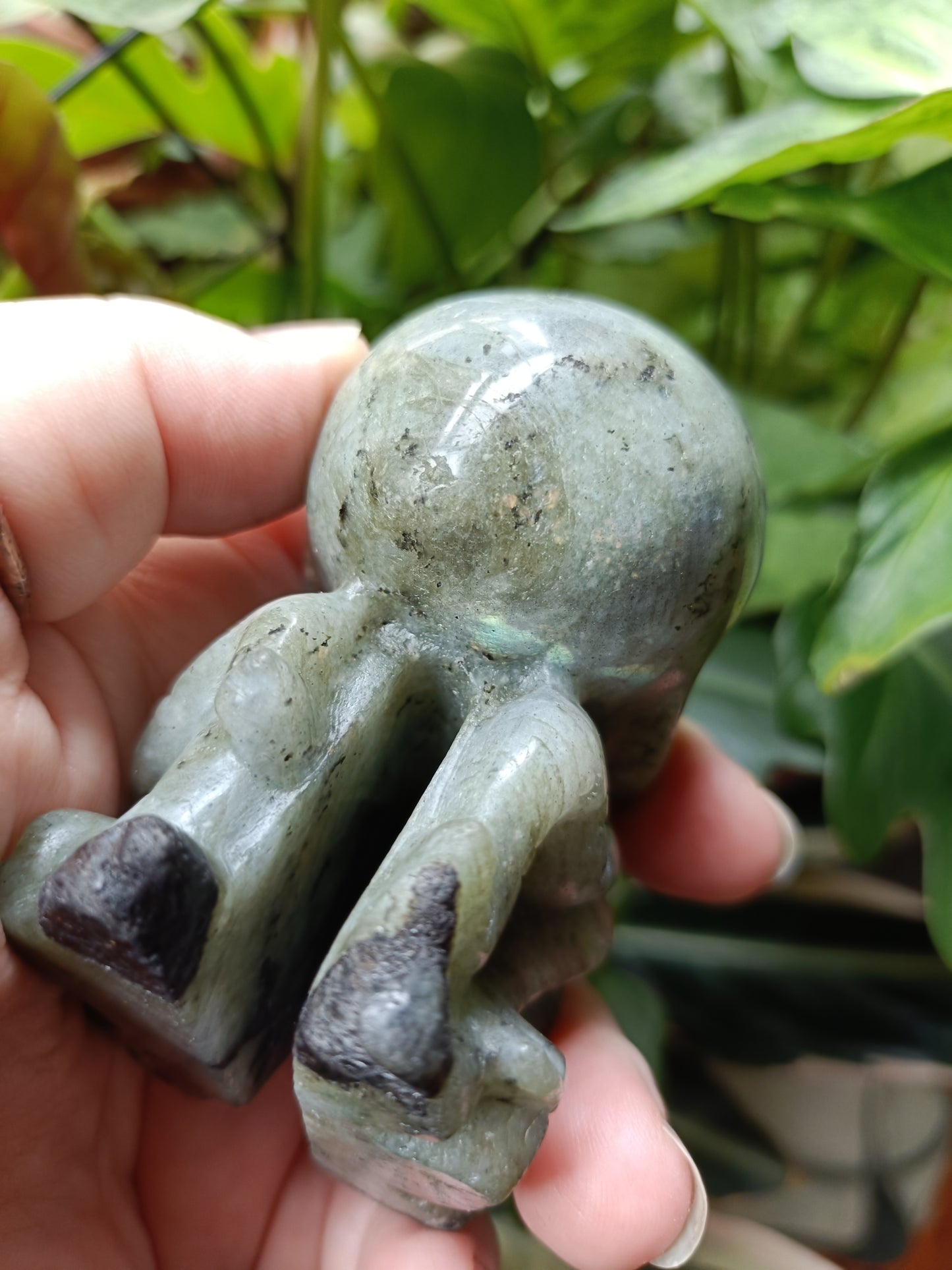 Labradorite Octopus Skull Carving - 309g