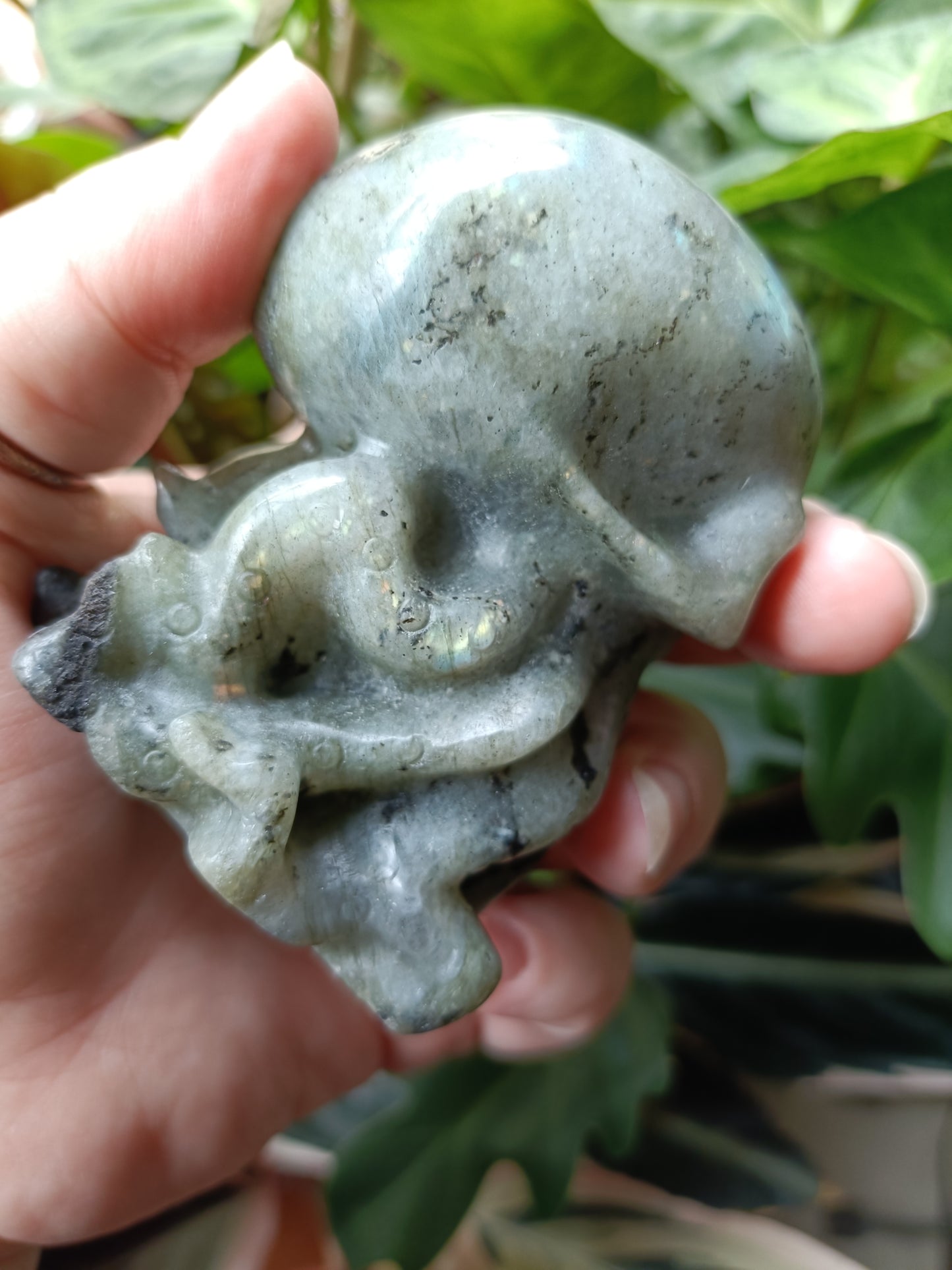 Labradorite Octopus Skull Carving - 309g