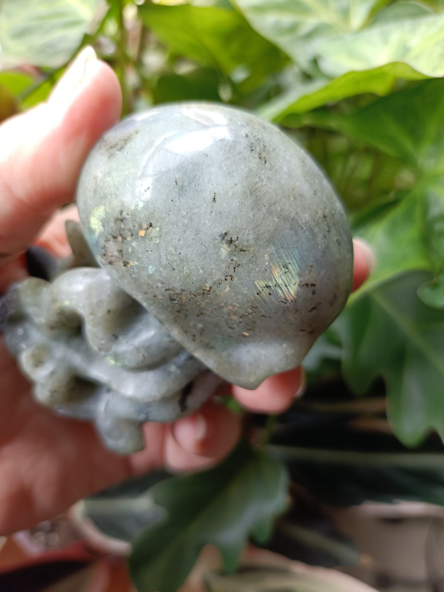 Labradorite Octopus Skull Carving - 309g