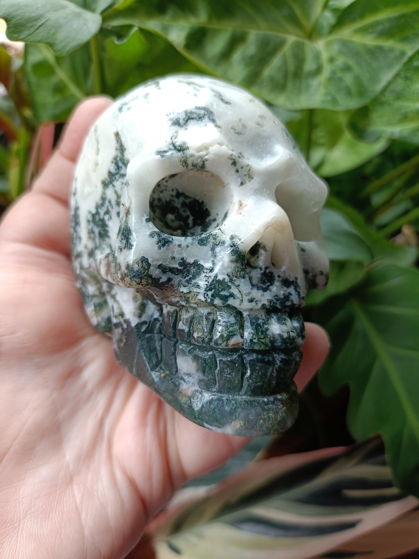 Moss Agate Skull Carving - 550g