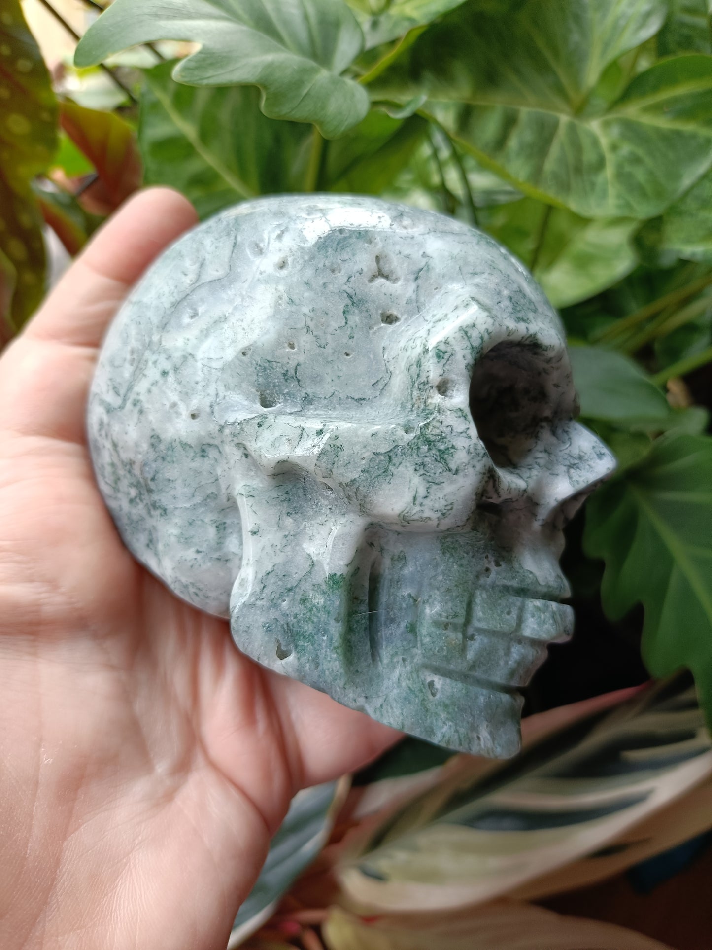 Moss Agate Skull Carving - 892g