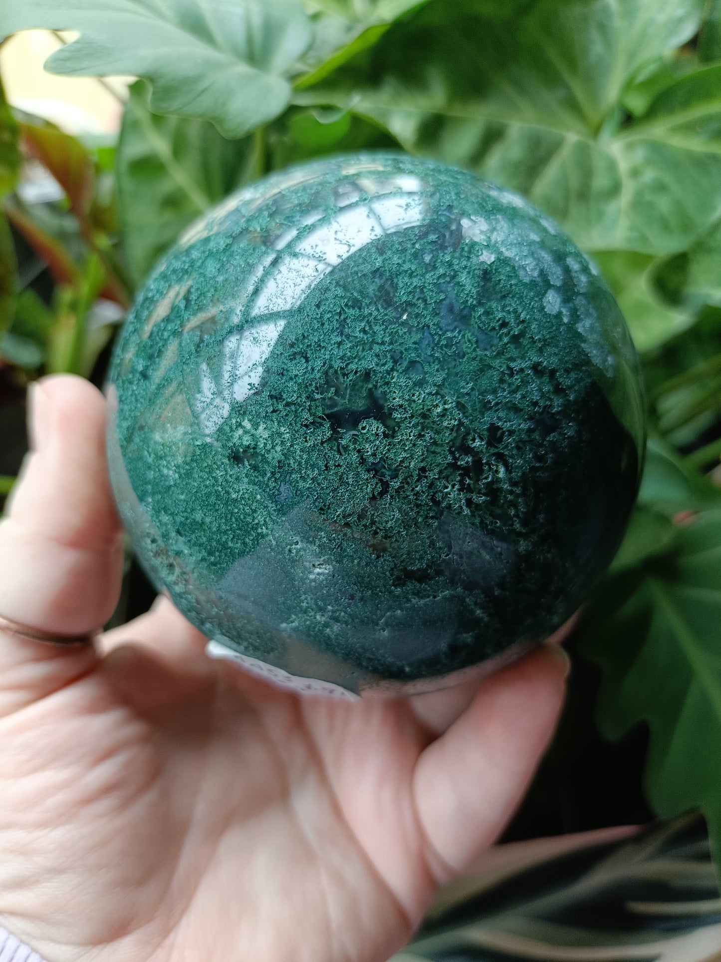 Moss Agate Sphere - 1094g