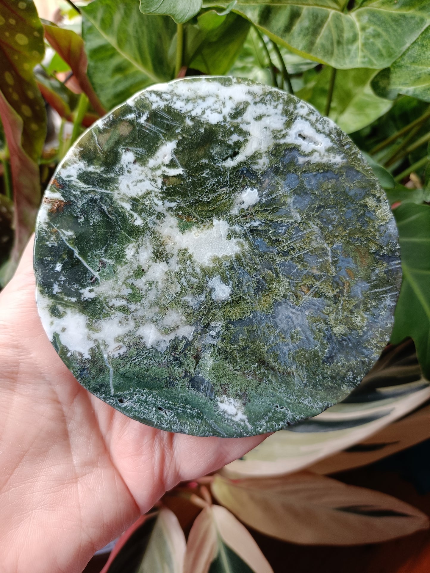 Moss Agate Polished Disc - 243g