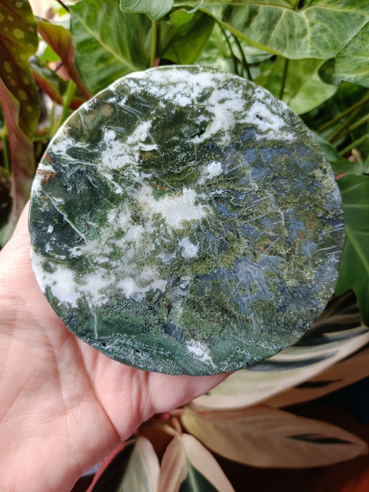 Moss Agate Polished Disc - 243g