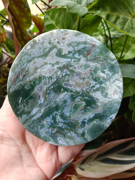 Moss Agate Polished Disc - 247g