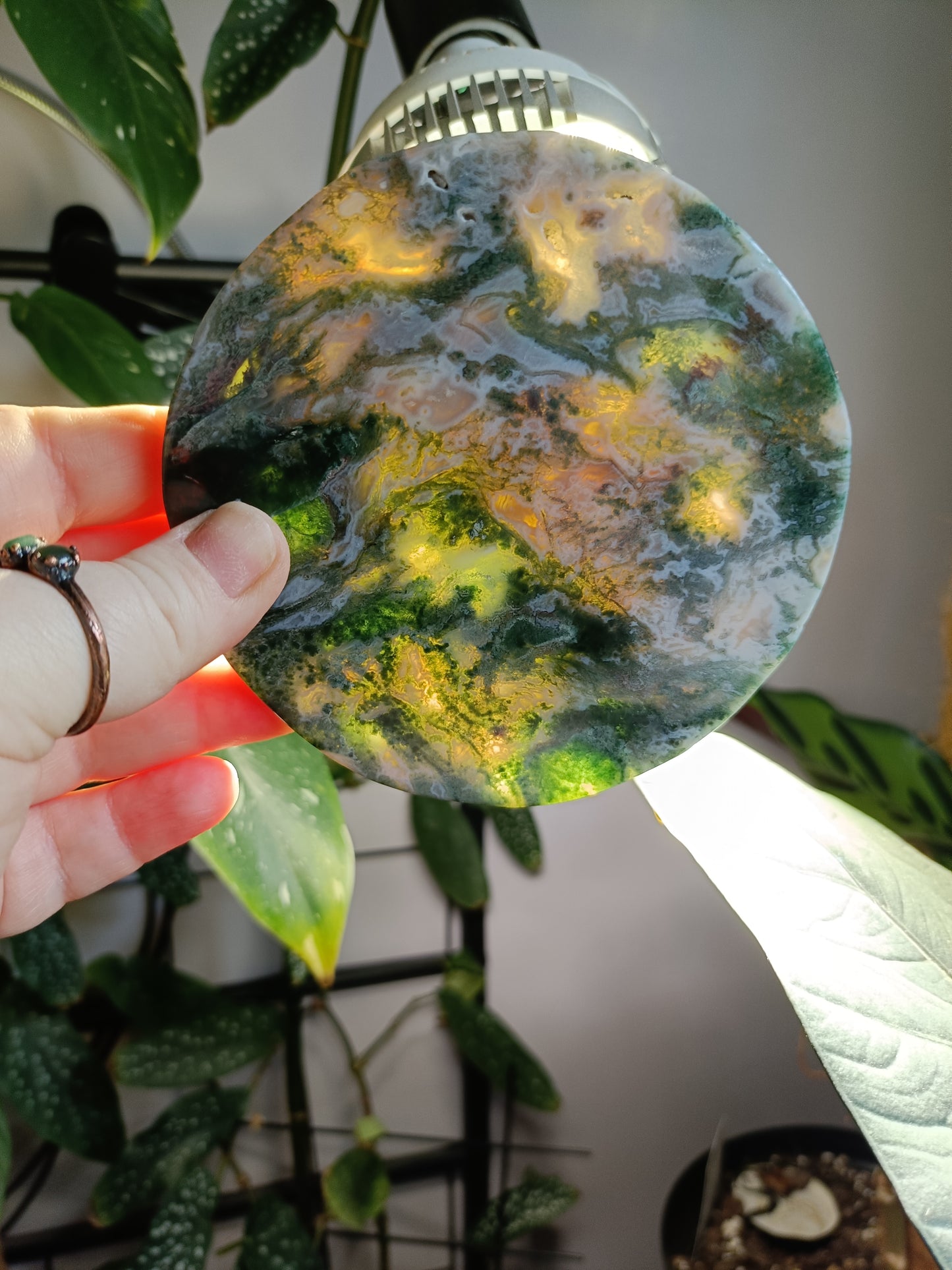 Moss Agate Polished Disc - 247g