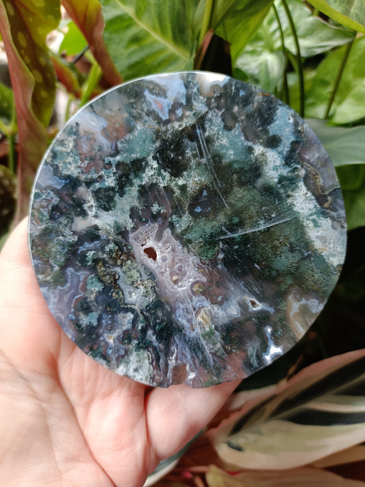 Moss Agate Polished Disc - 191g