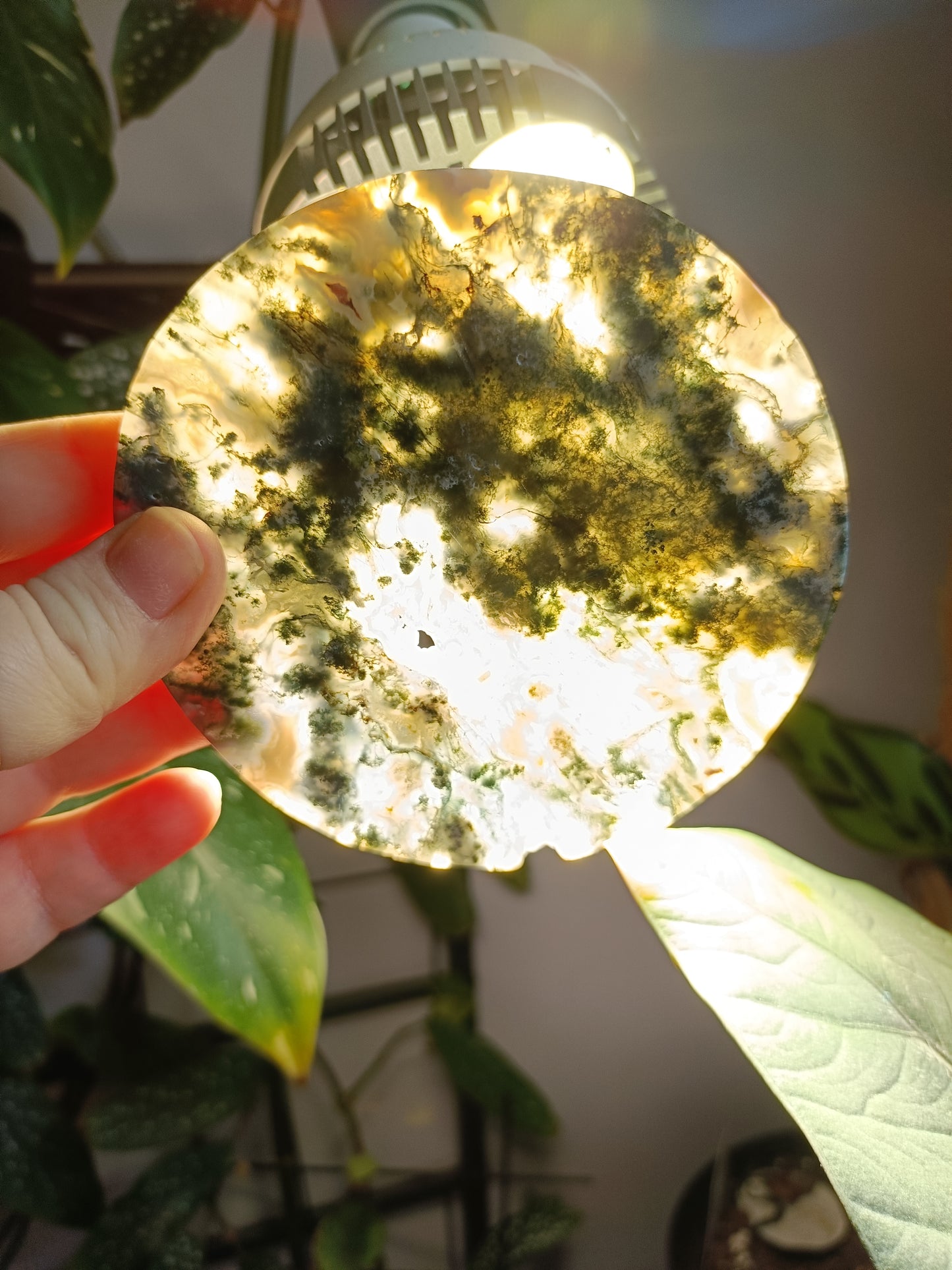 Moss Agate Polished Disc - 191g