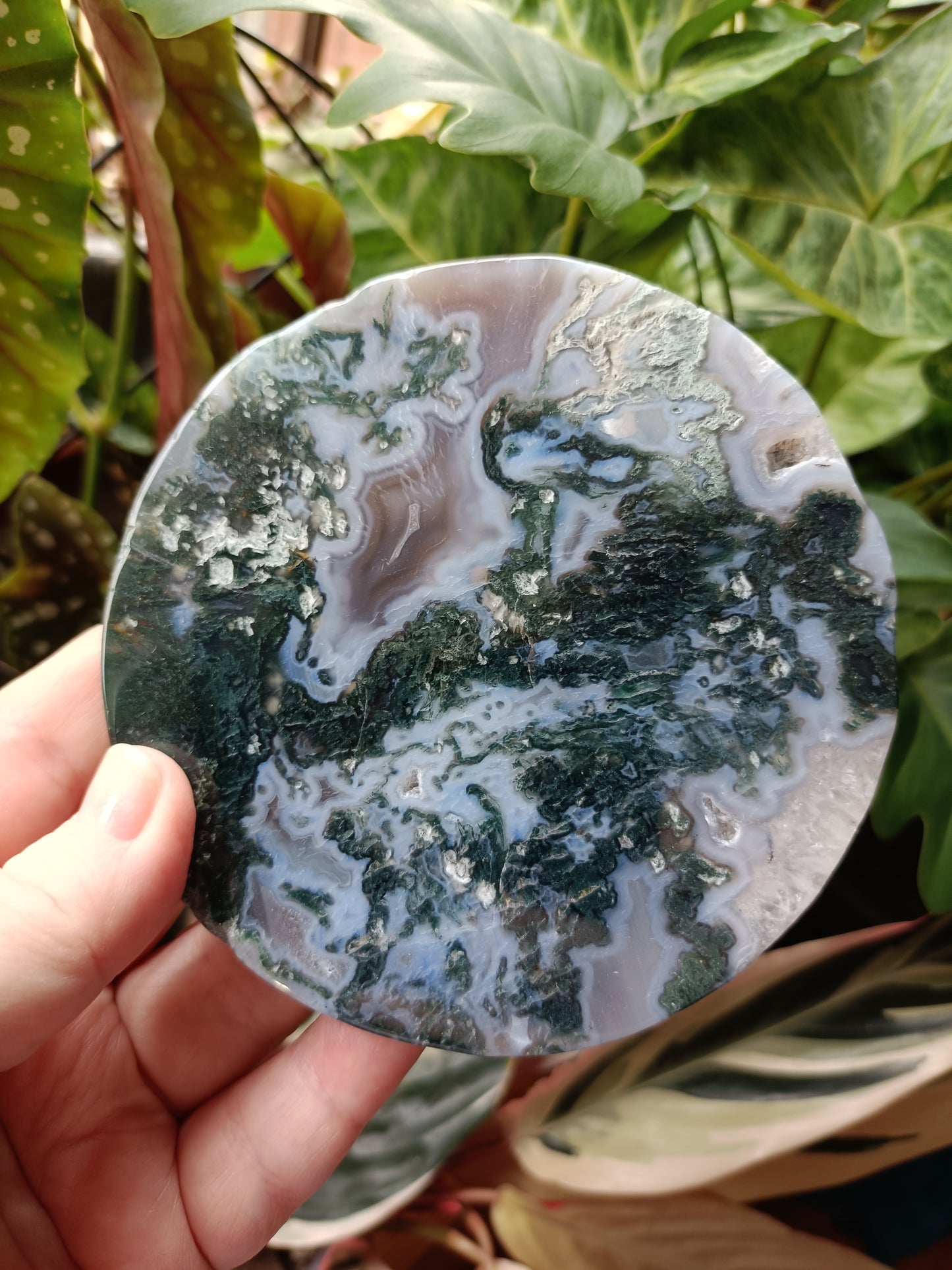 Moss Agate Polished Disc - 246g