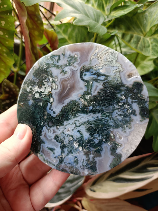 Moss Agate Polished Disc - 246g