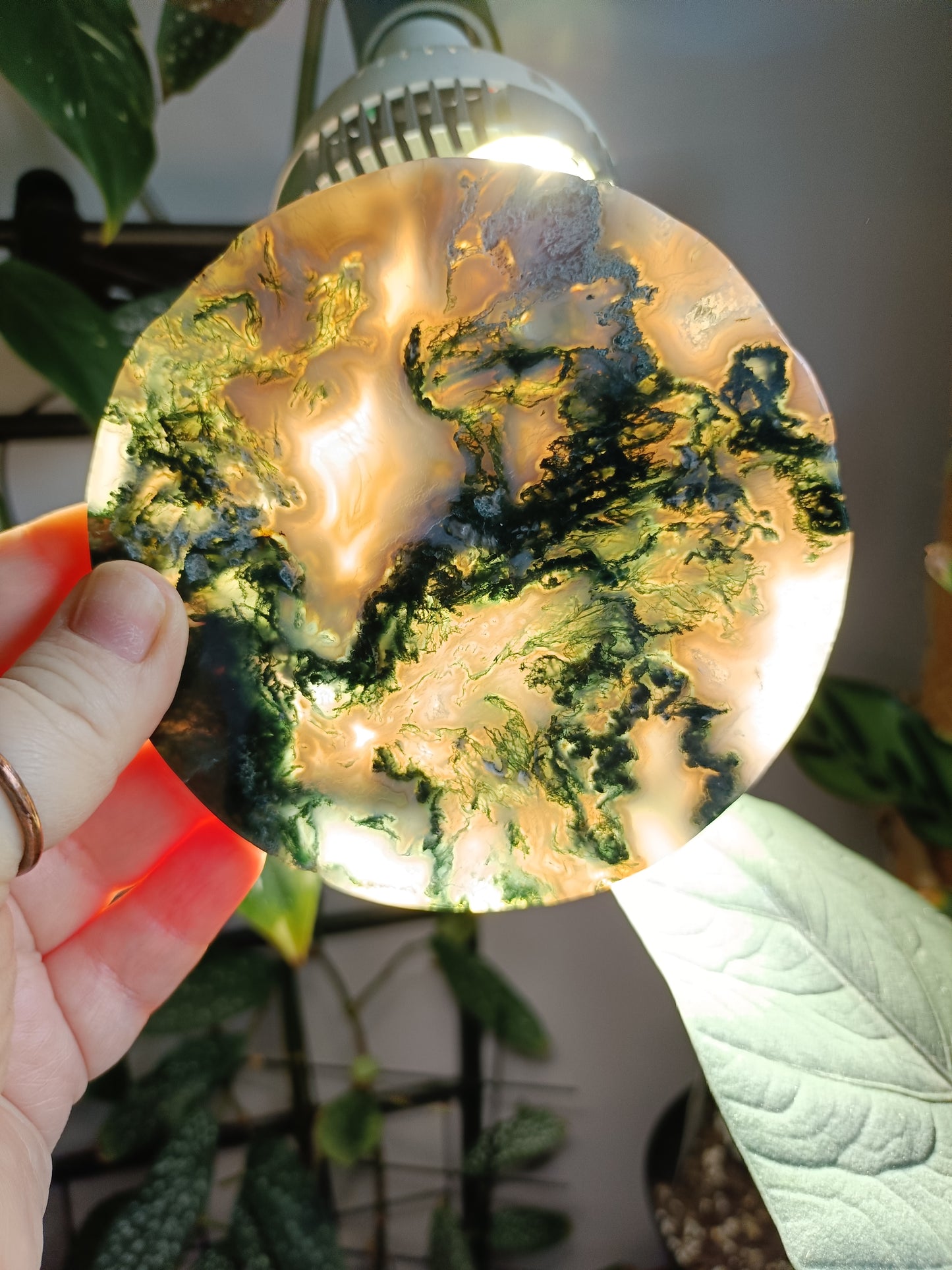 Moss Agate Polished Disc - 246g
