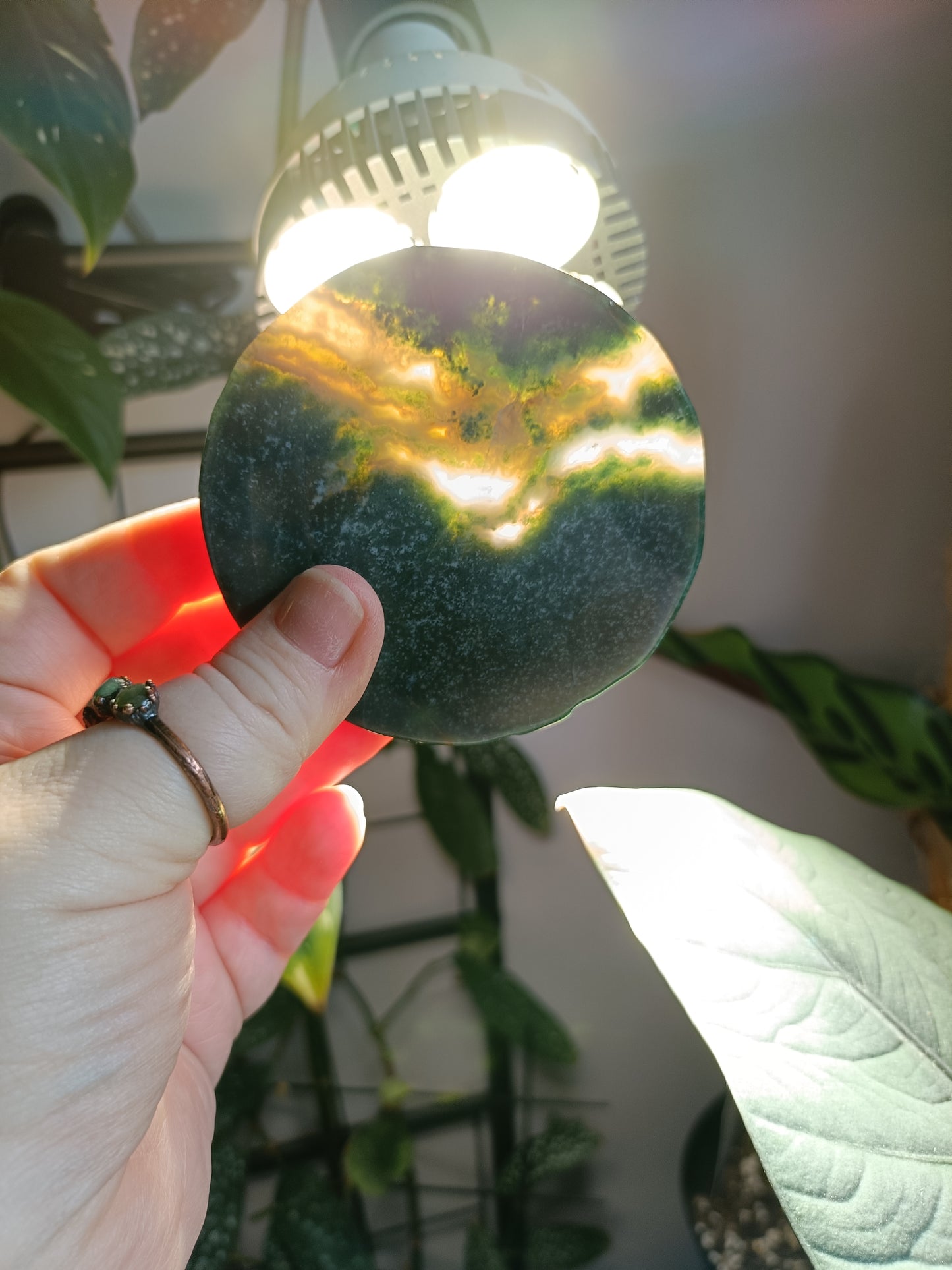 Moss Agate Polished Disc - 112g