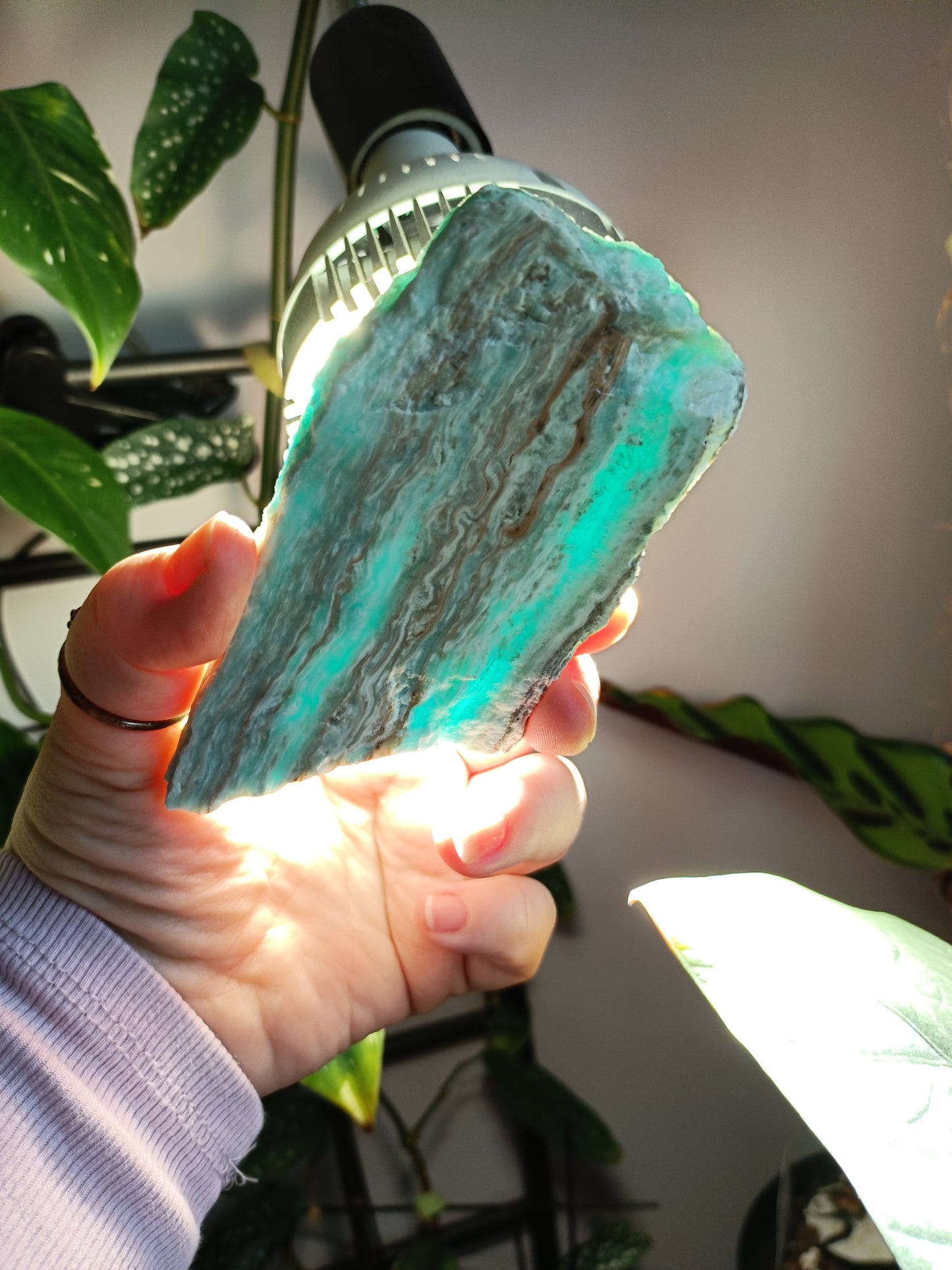 Blue Aragonite Slab - 166g