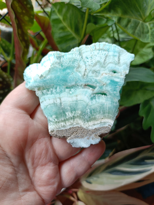Blue Aragonite Slab - 130g