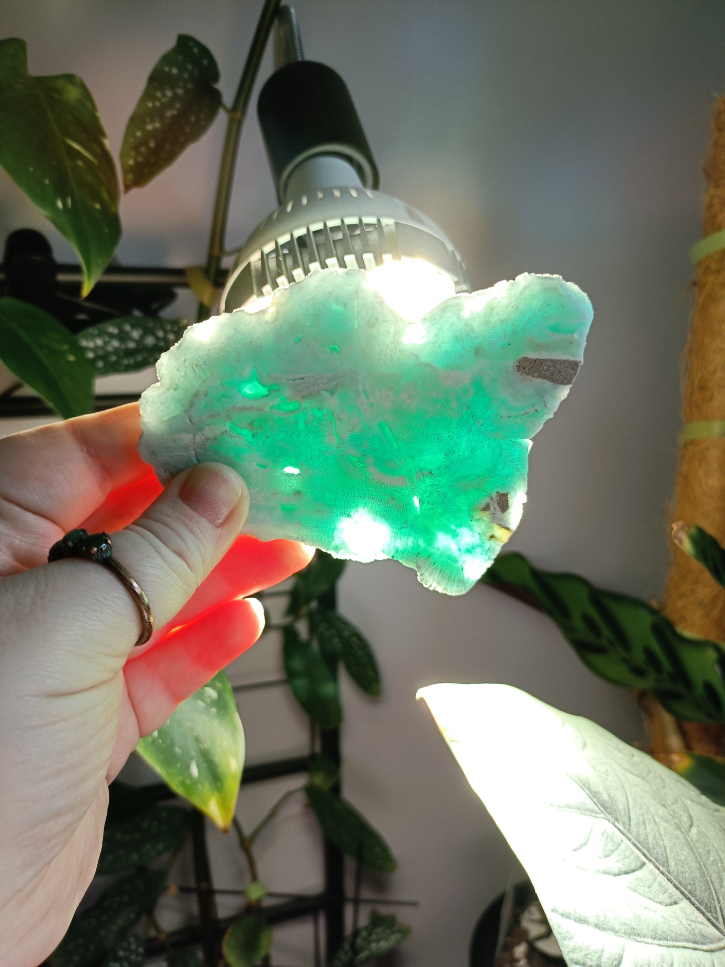 Blue Aragonite Slab - 148g