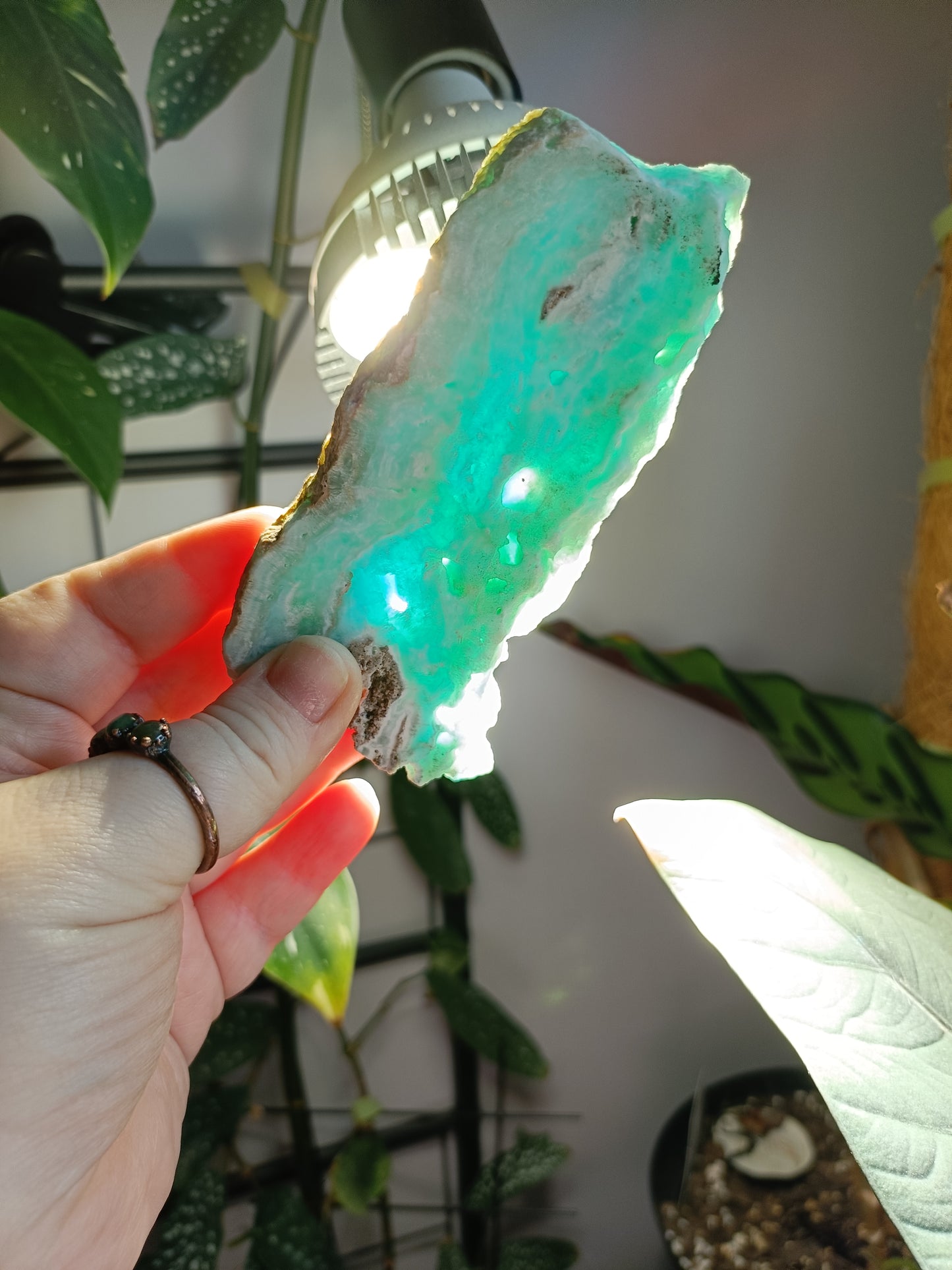 Blue Aragonite Slab - 144g