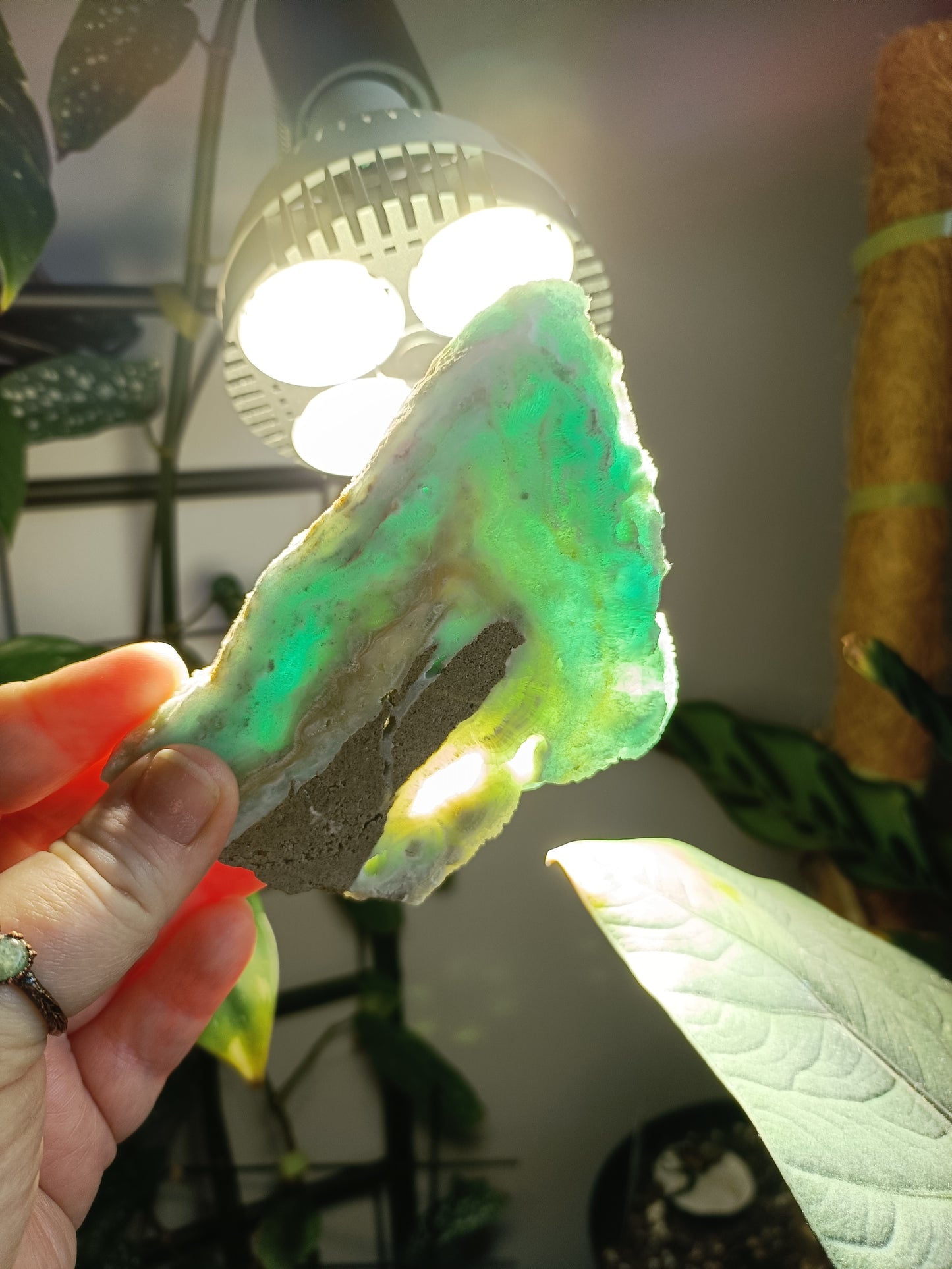 Blue Aragonite Slab - 149g