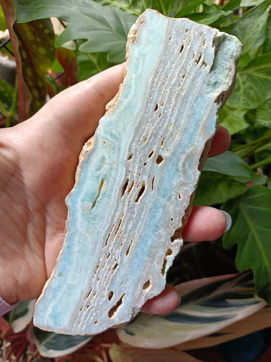 Blue Aragonite Slab - 227g